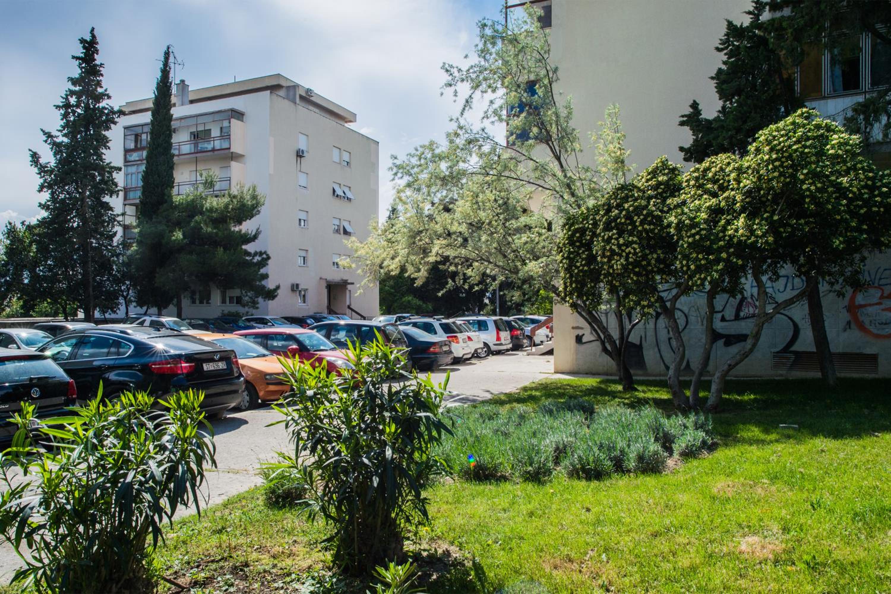 Apartment Carmela photo 4