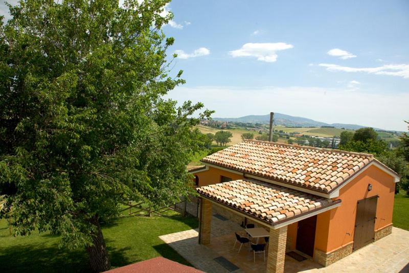 Azienda Agrituristica Le Bucoliche view 2