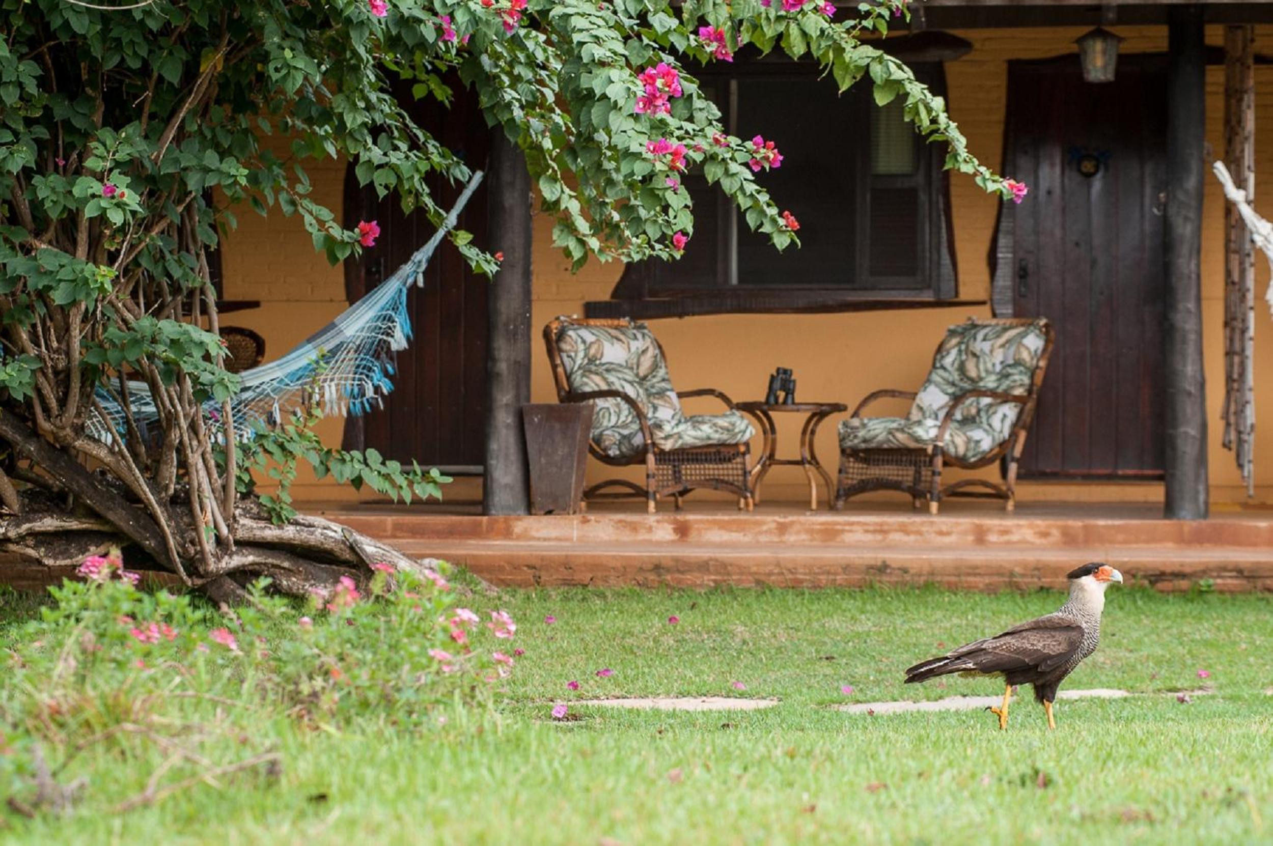 Pousada Araras Pantanal Eco Lodge