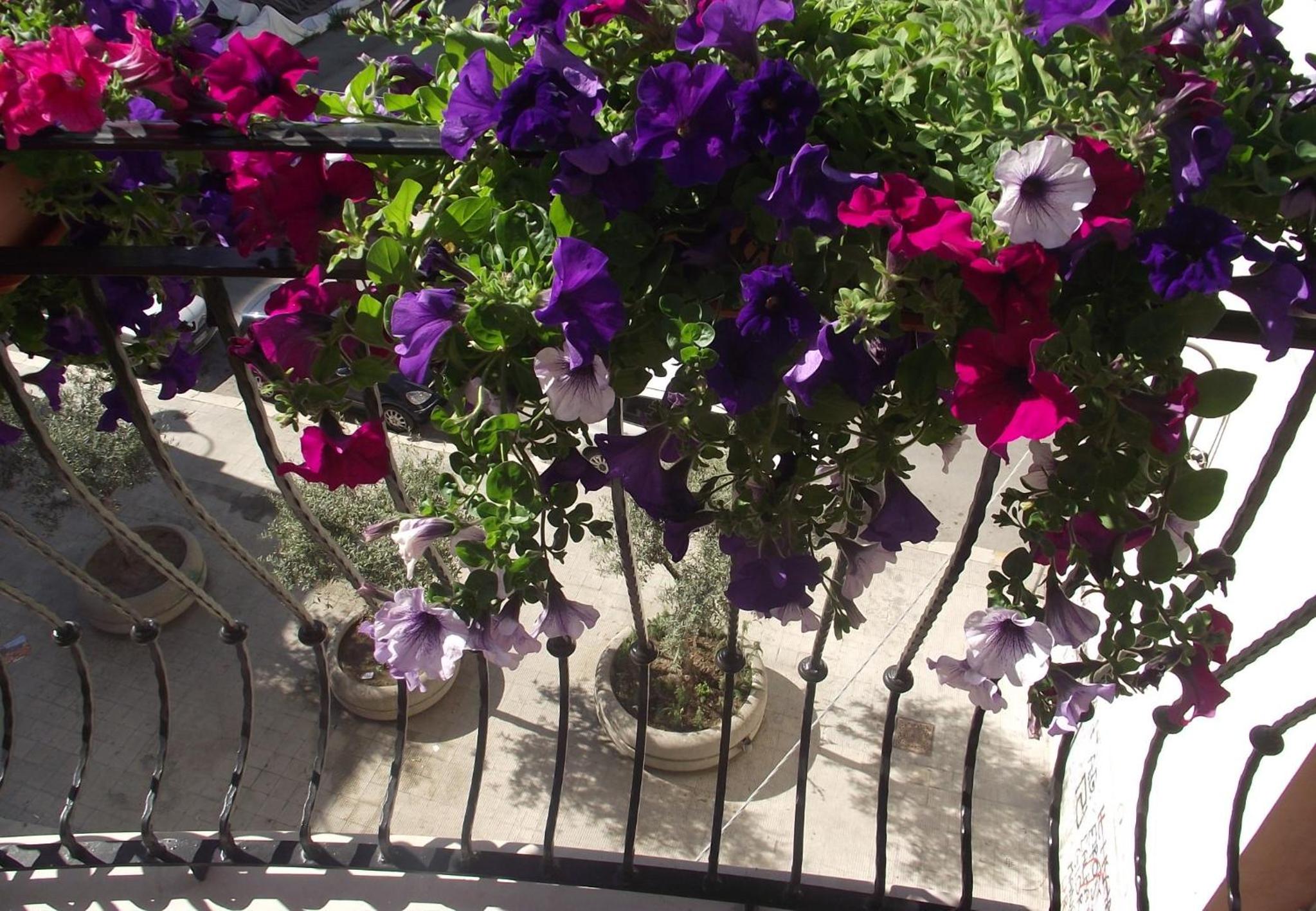 B&B Al Vecchio Borgo