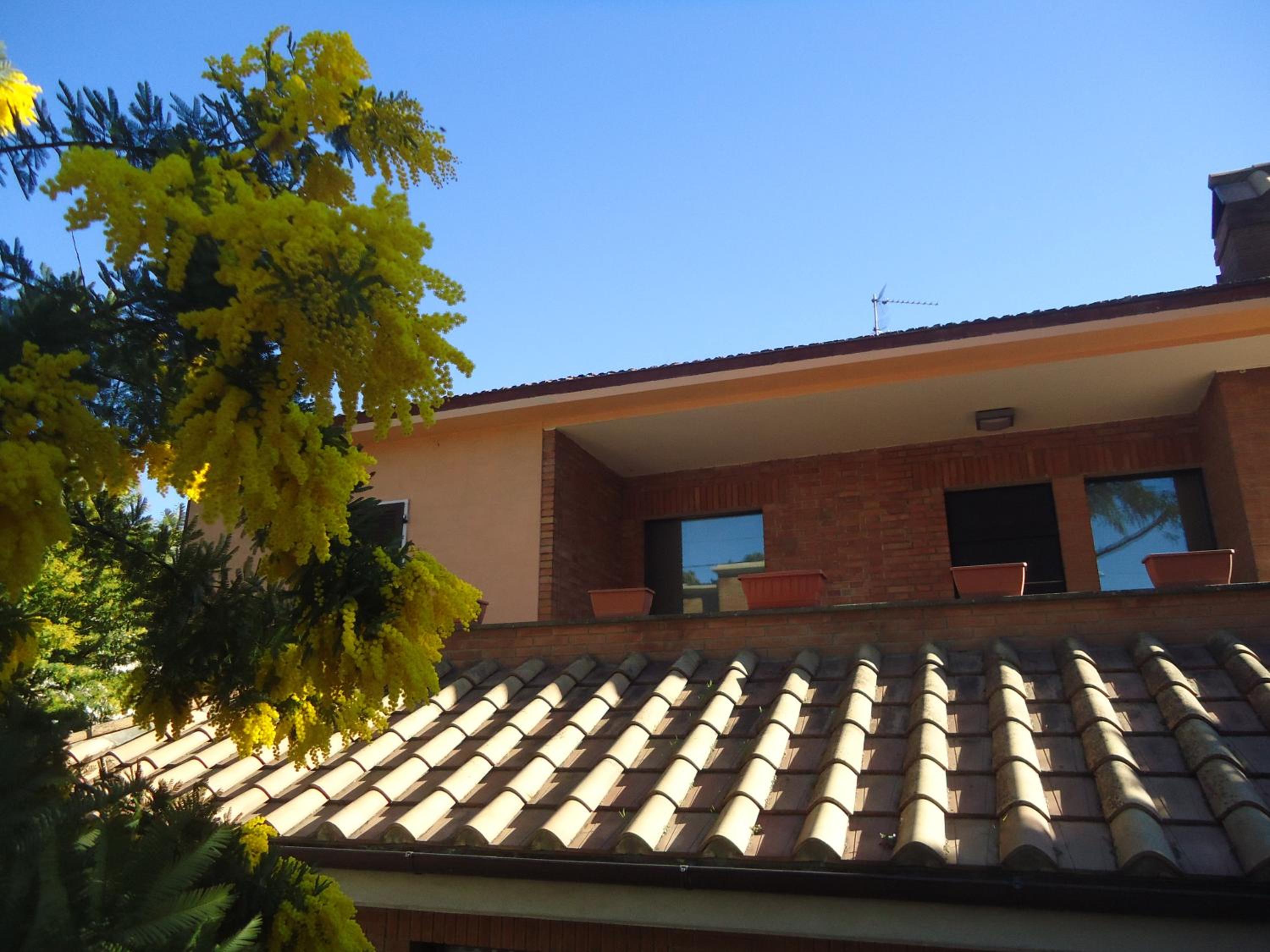 La Sora Bice view 3