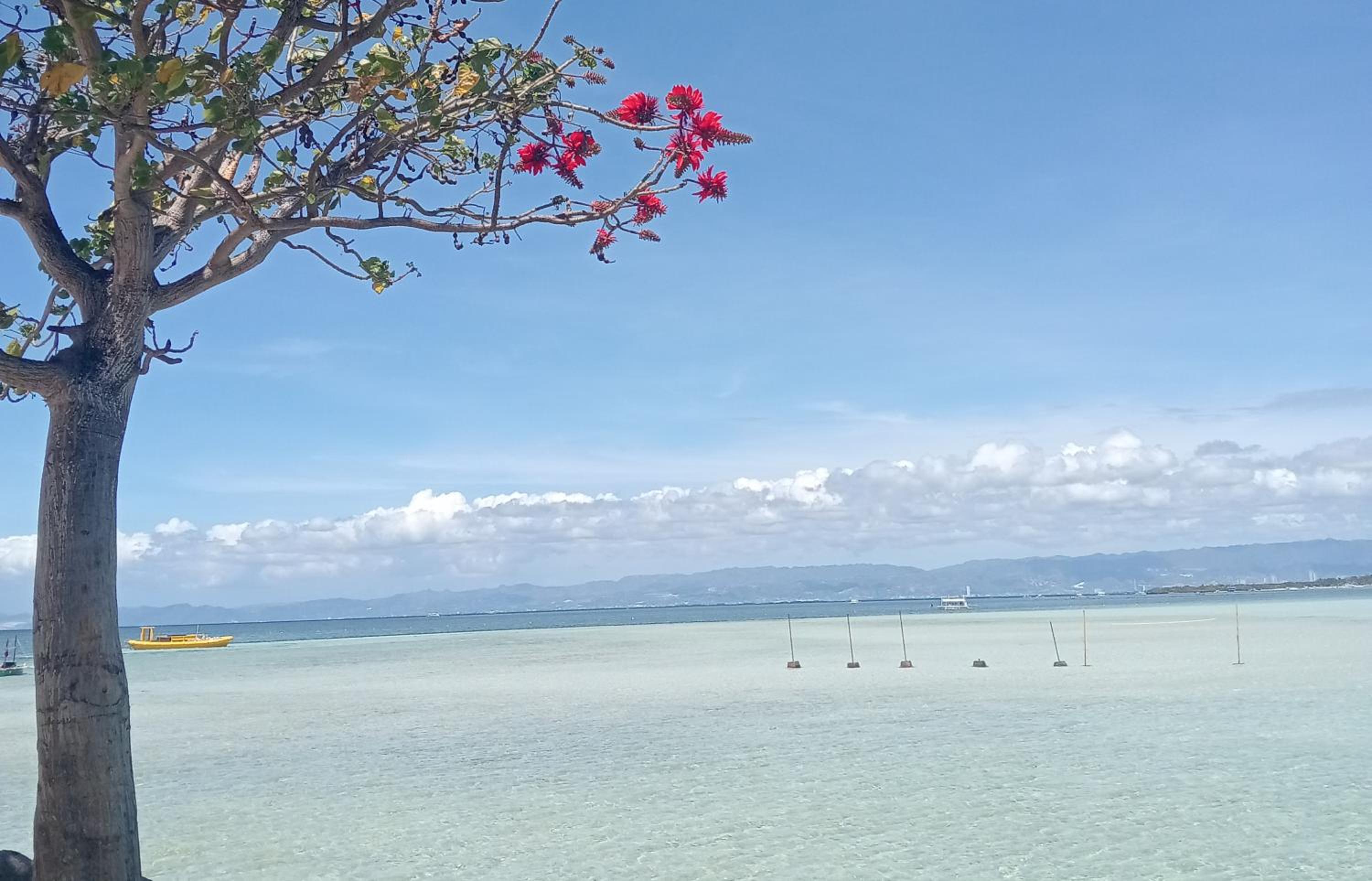 Nalusuan Island Resort and Marine Sanctuary
