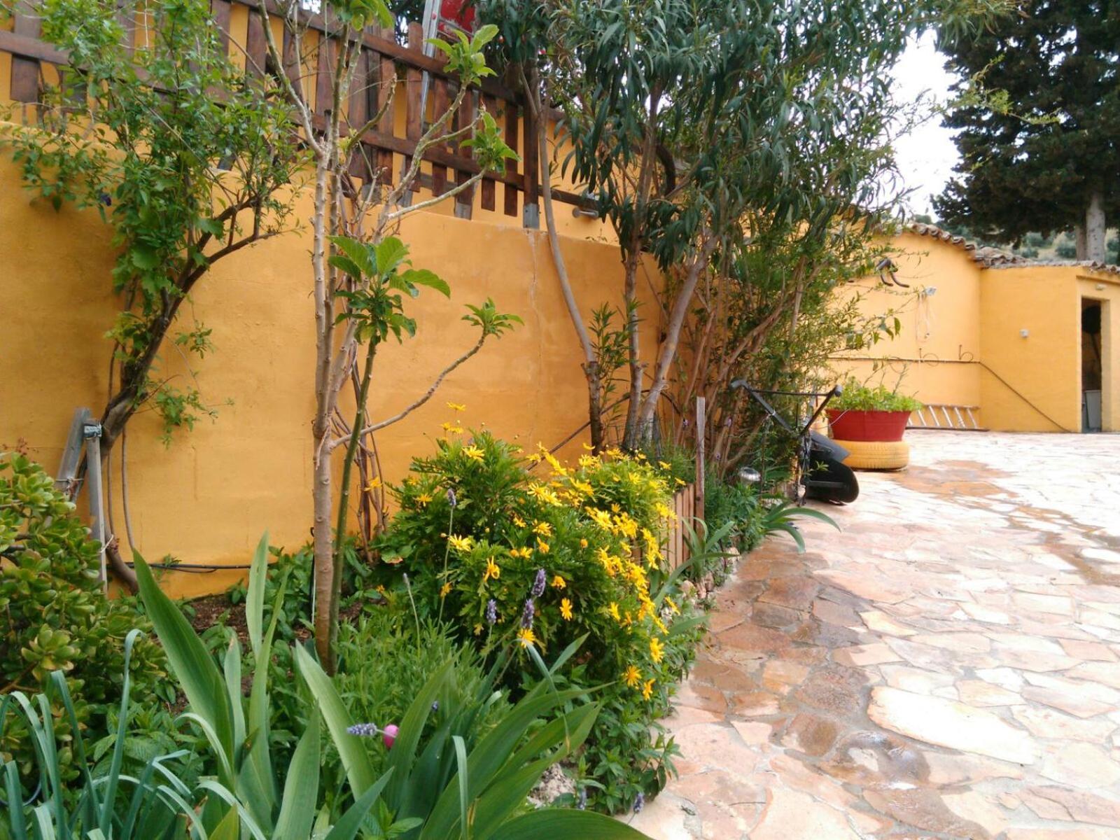 Photo 43