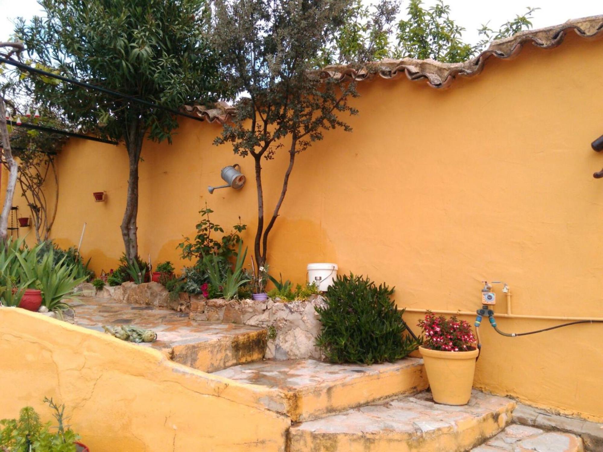 Photo 42