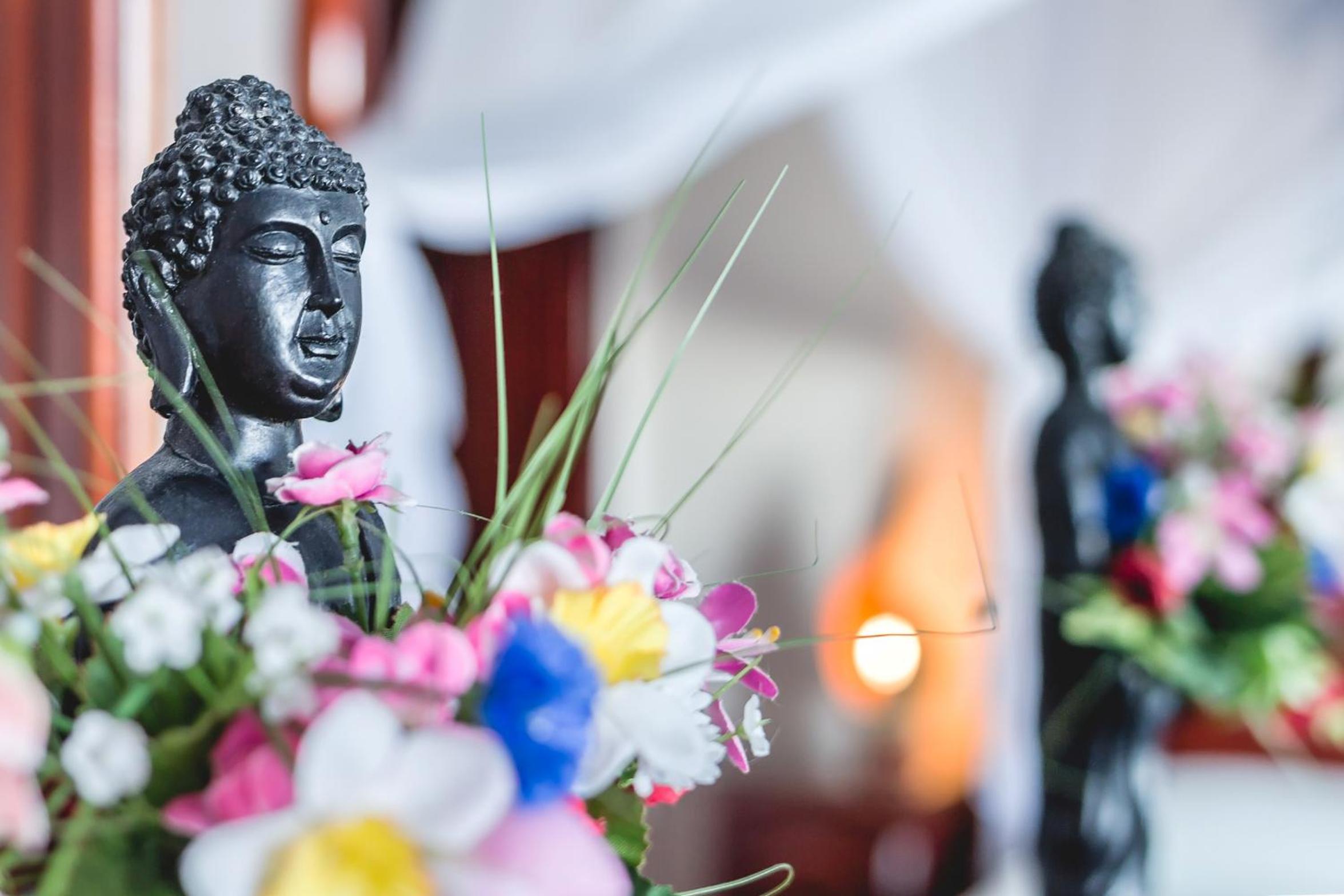 Villa Roses Apartments & Wellness