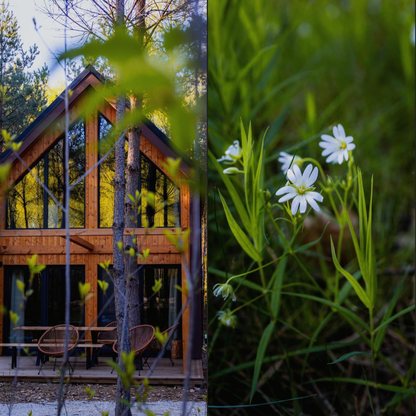 Osada LoveLaski - balia jacuzzi, sauna i kominek - całoroczne domki premium
