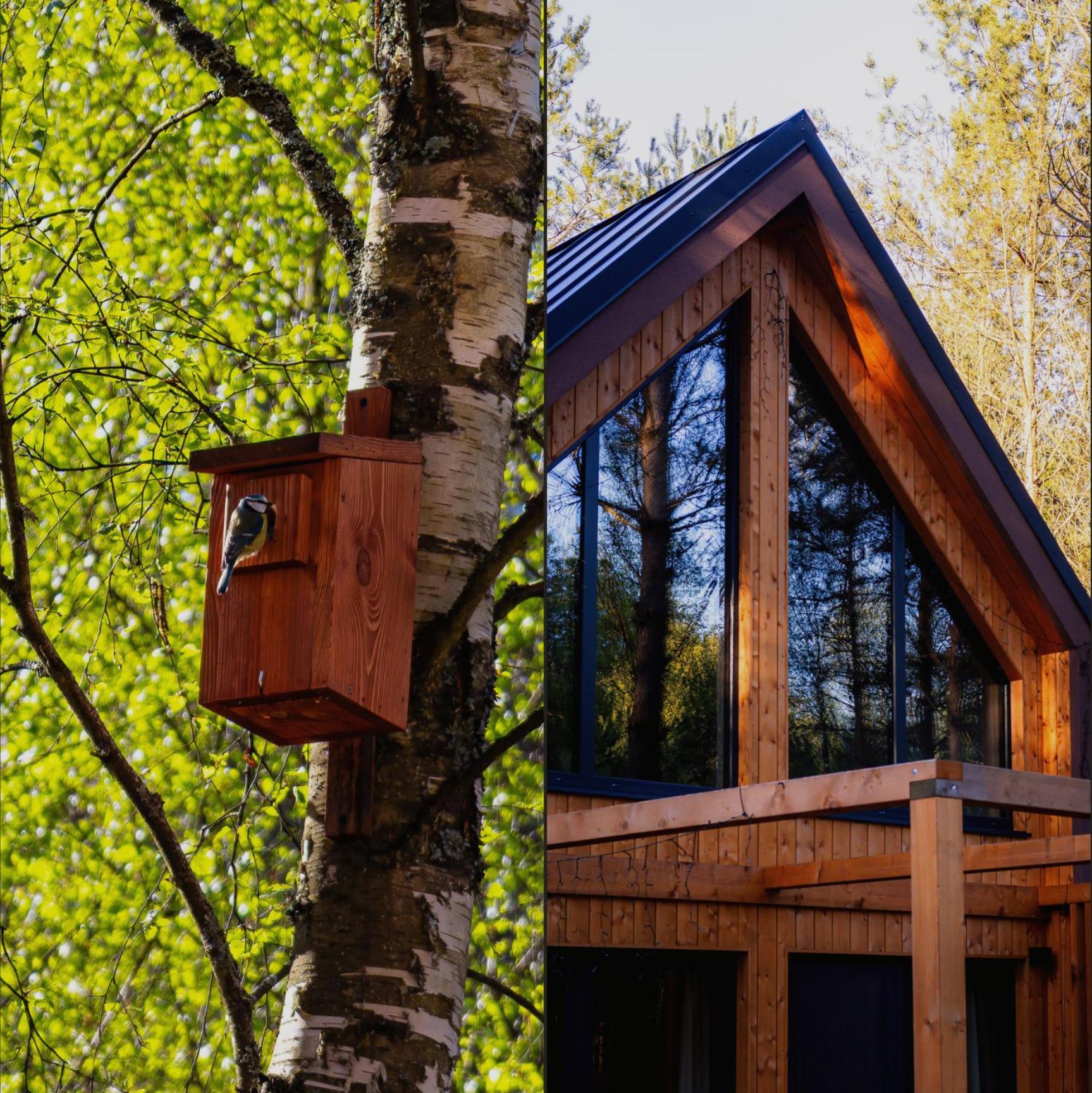 Osada LoveLaski - balia jacuzzi, sauna i kominek - całoroczne domki premium