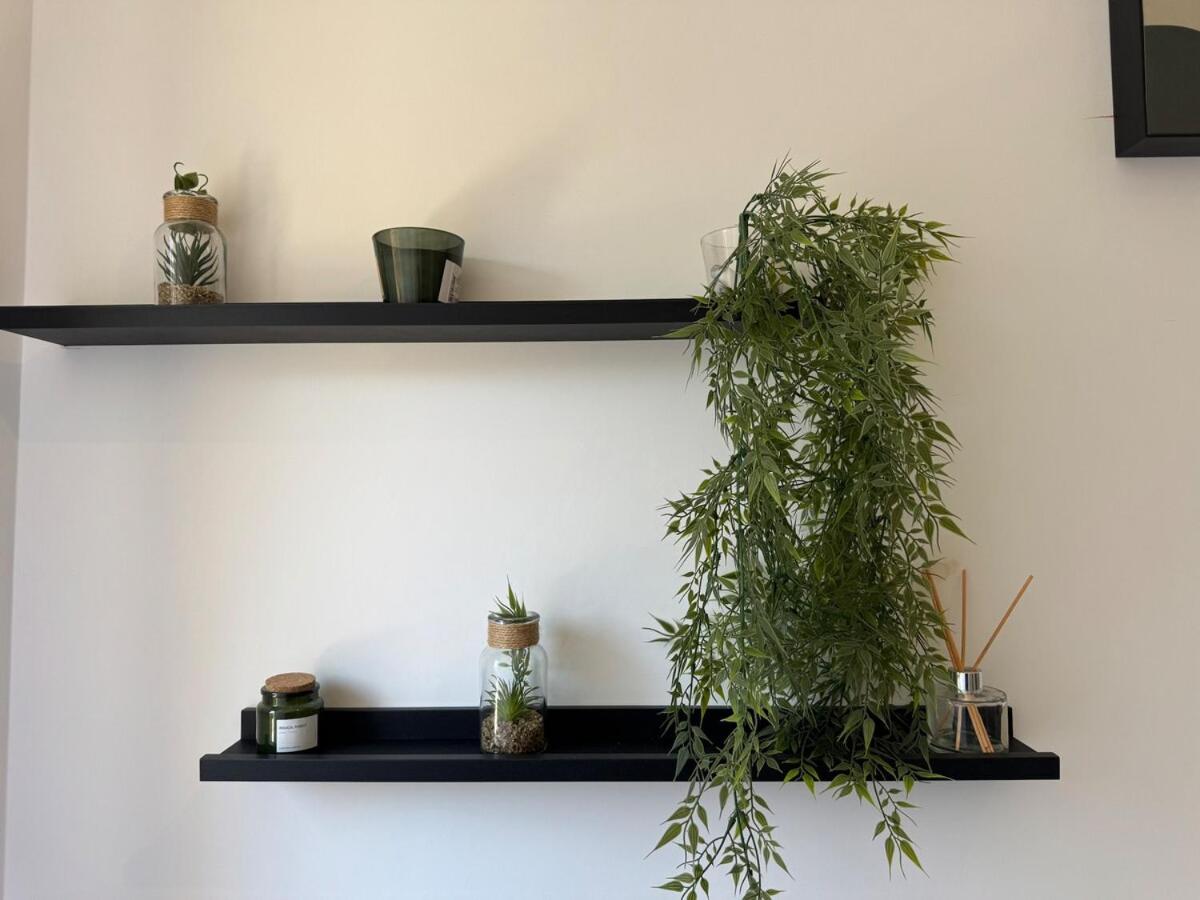 DOMUS I Cozy Apt -20 min from Colosseum
