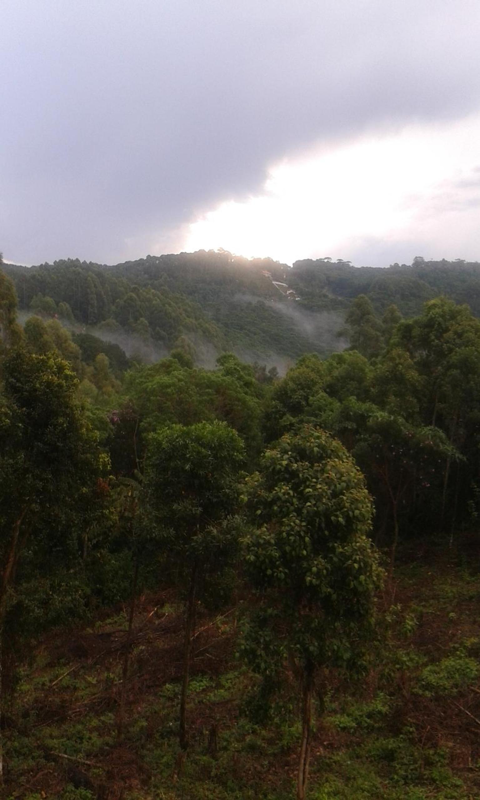 All Green Residence