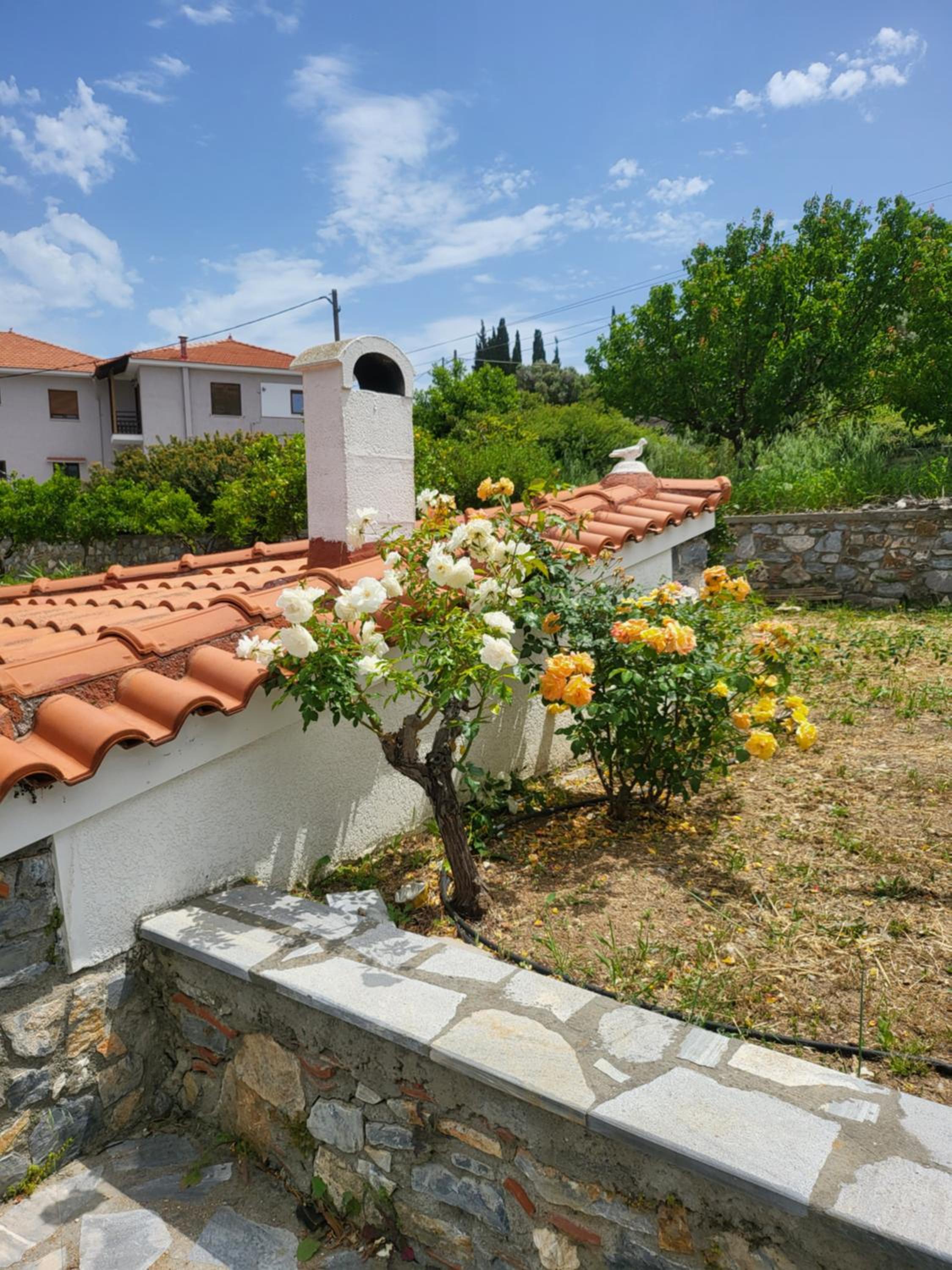 Alexia's resorts