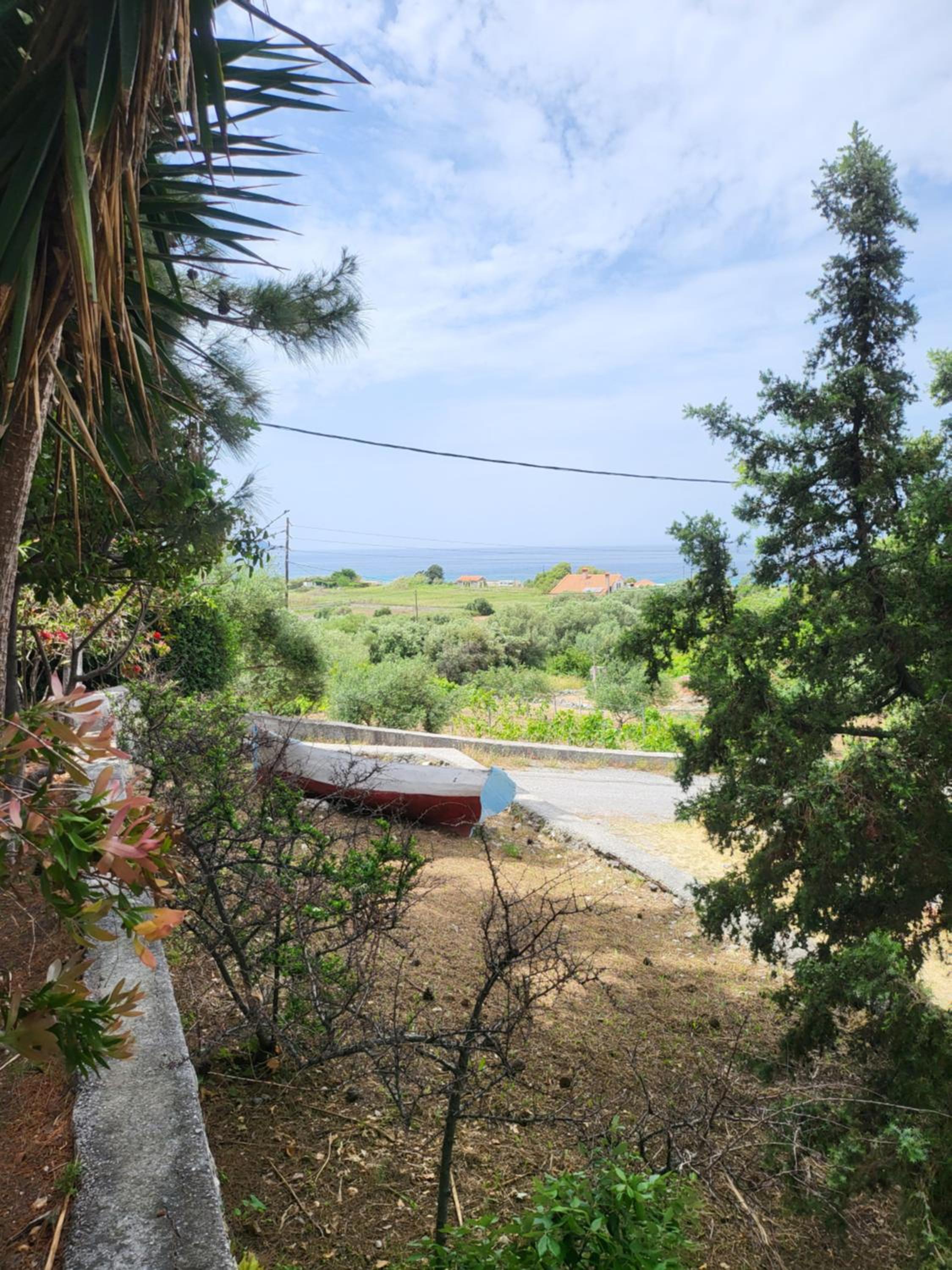 Alexia's resorts