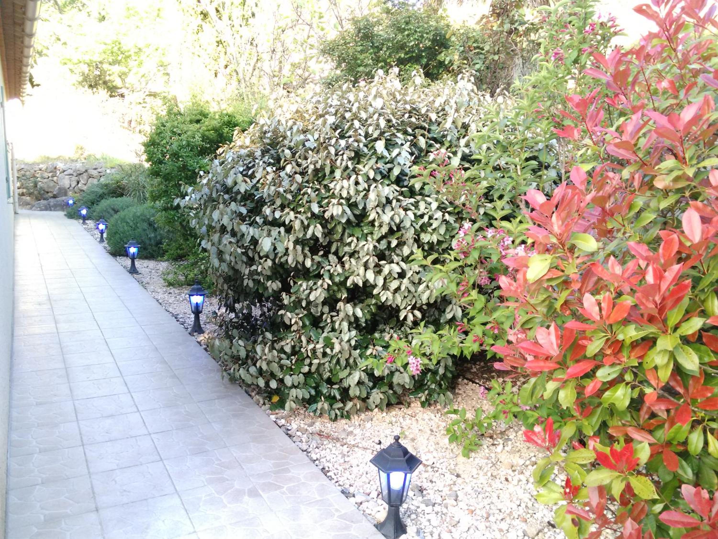 Photo 9