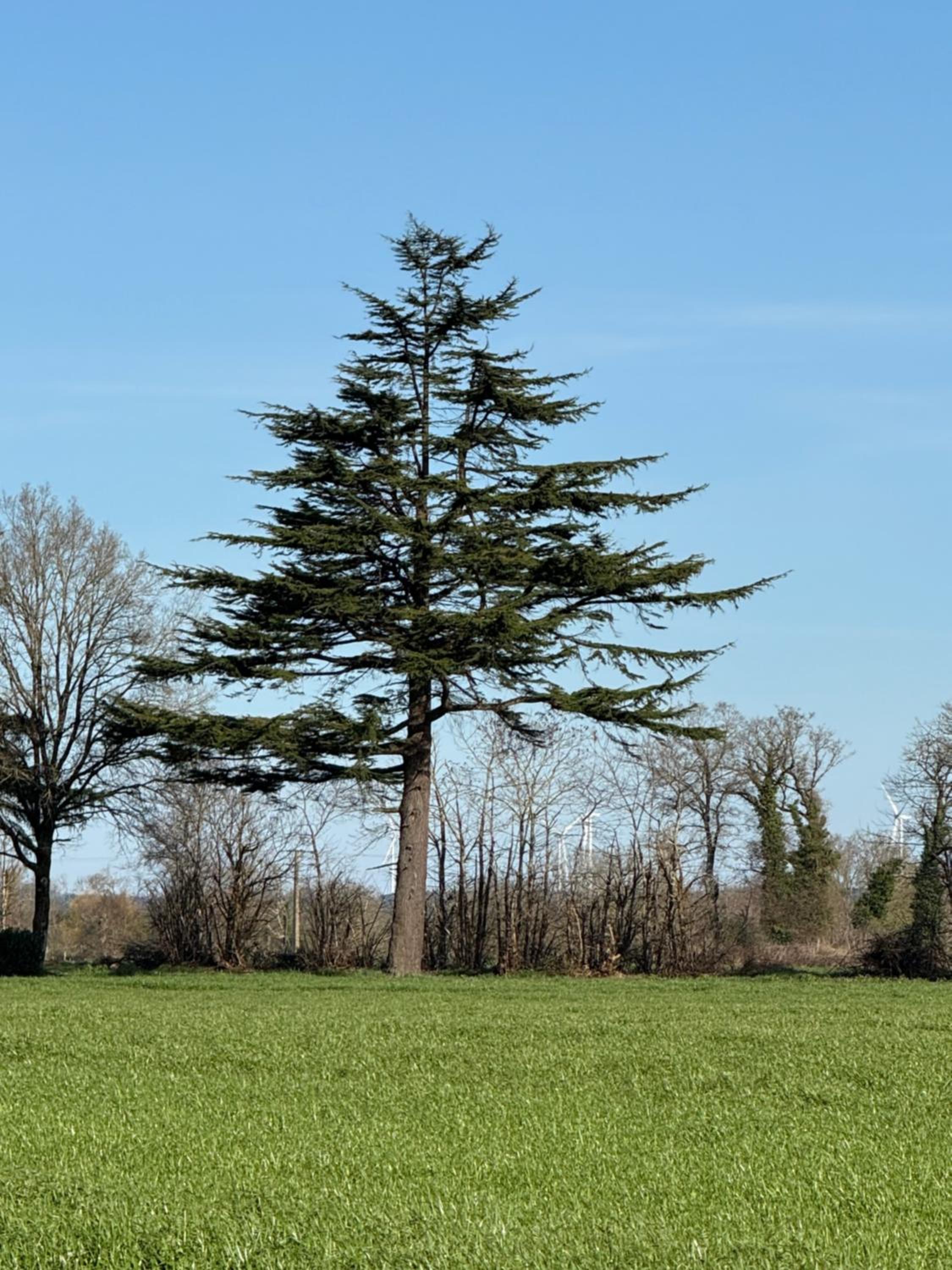 Coin de Paix - Château de Launay
