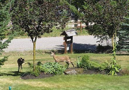 Cranbrook Vacations - End of the road B  B - Property Image 8