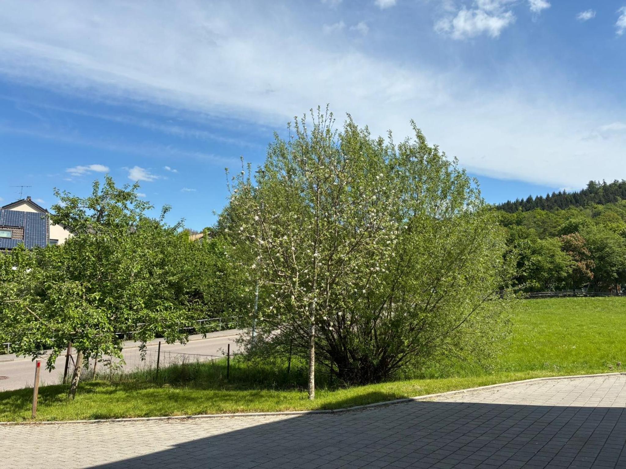 Ferienwohnung Eidem