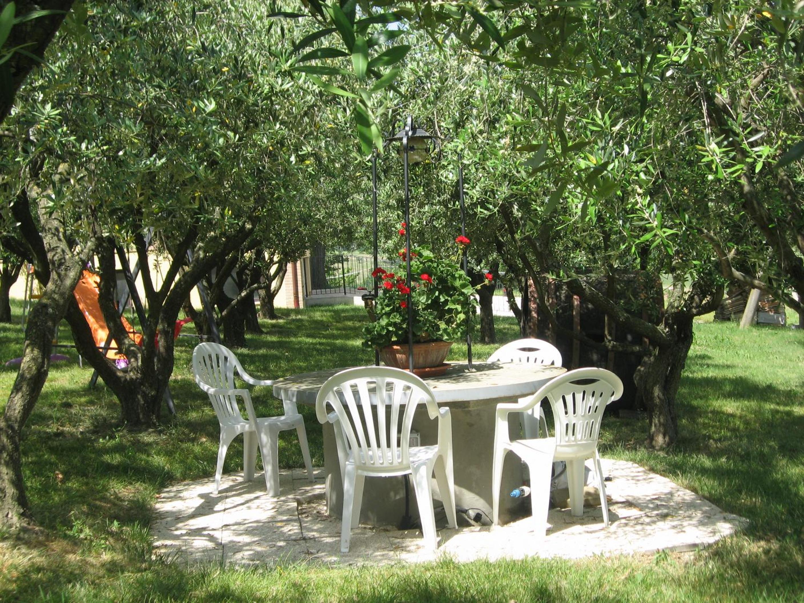 Il Giardino Degli Ulivi