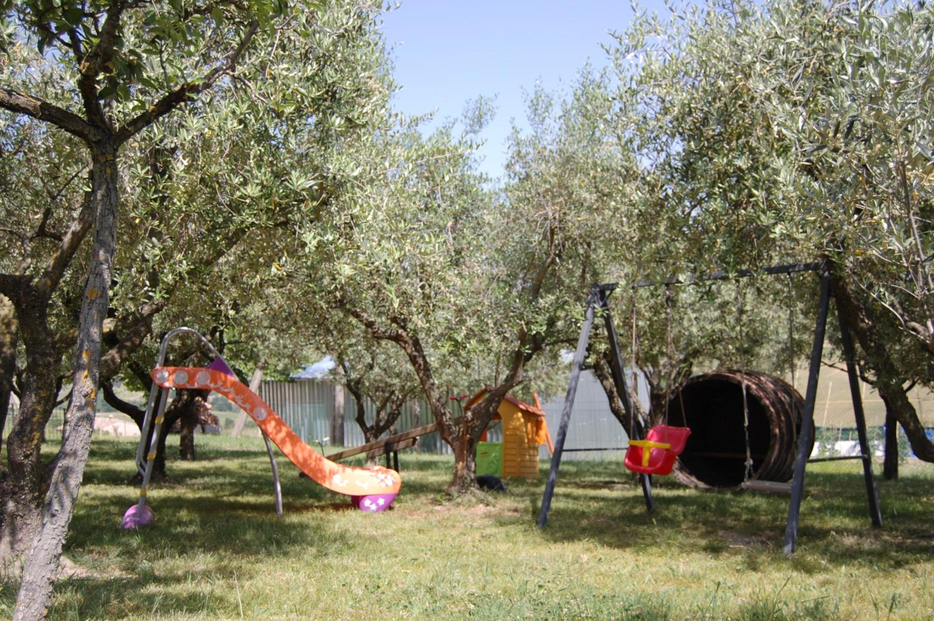 Il Giardino Degli Ulivi