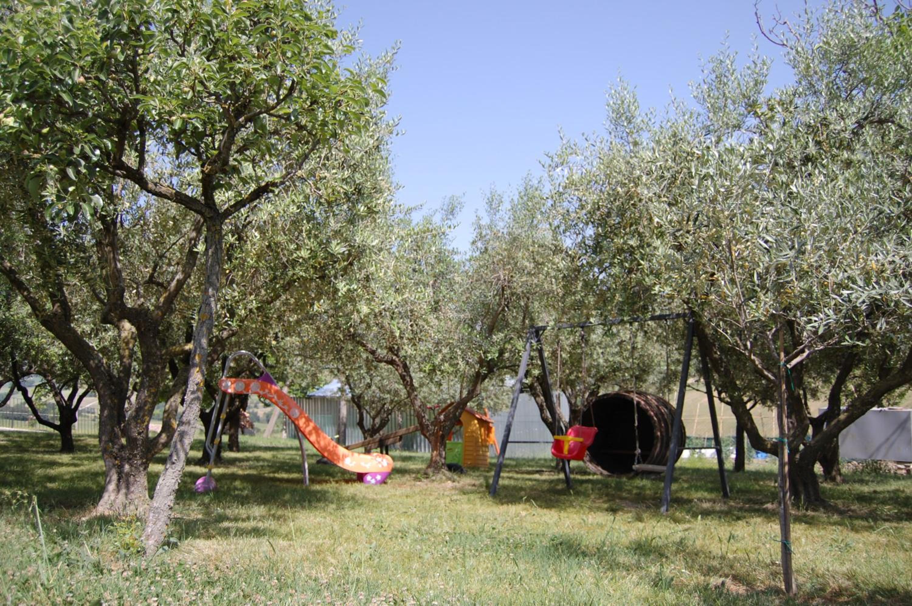 Il Giardino Degli Ulivi