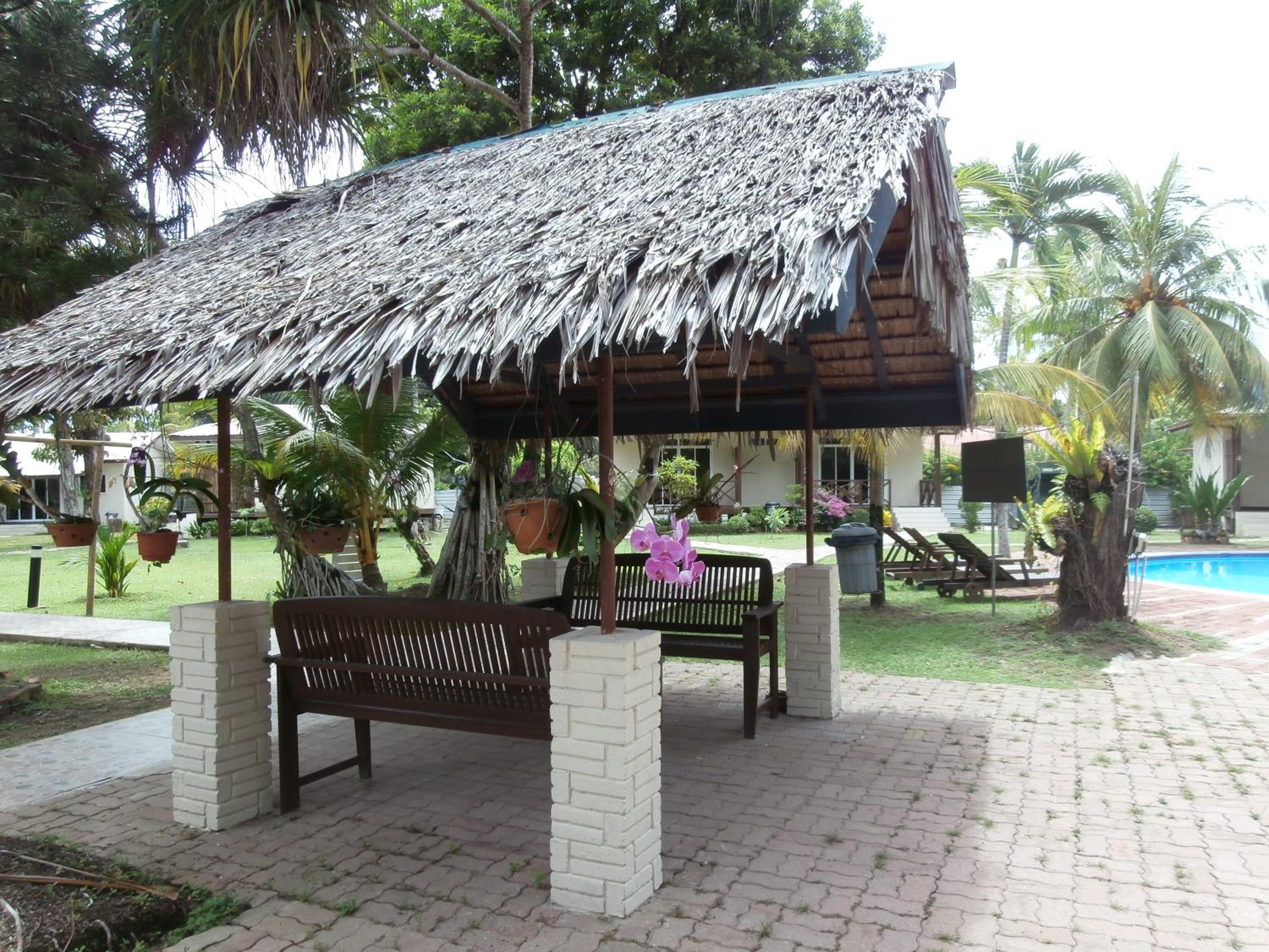 Photo 41