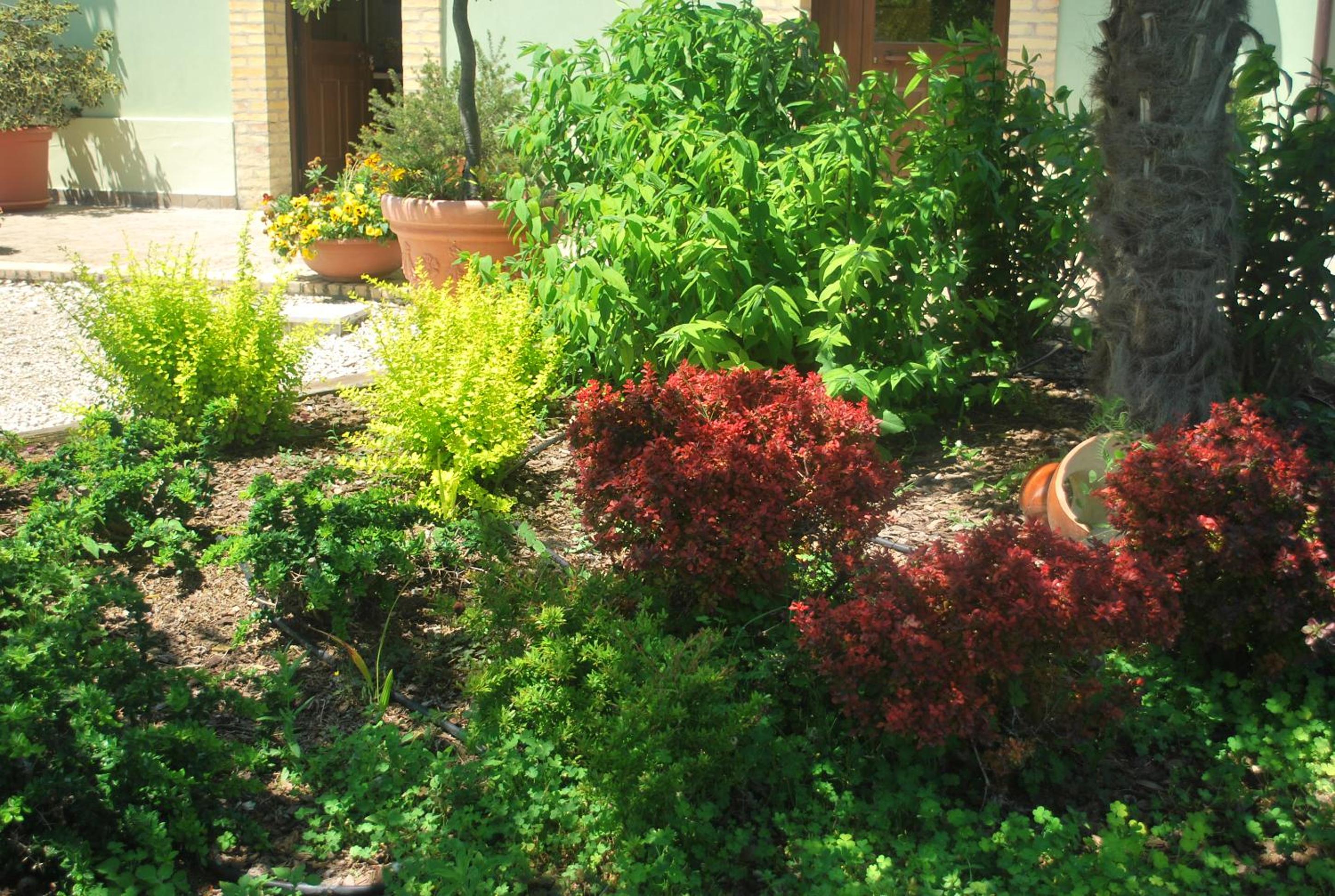 Photo 20