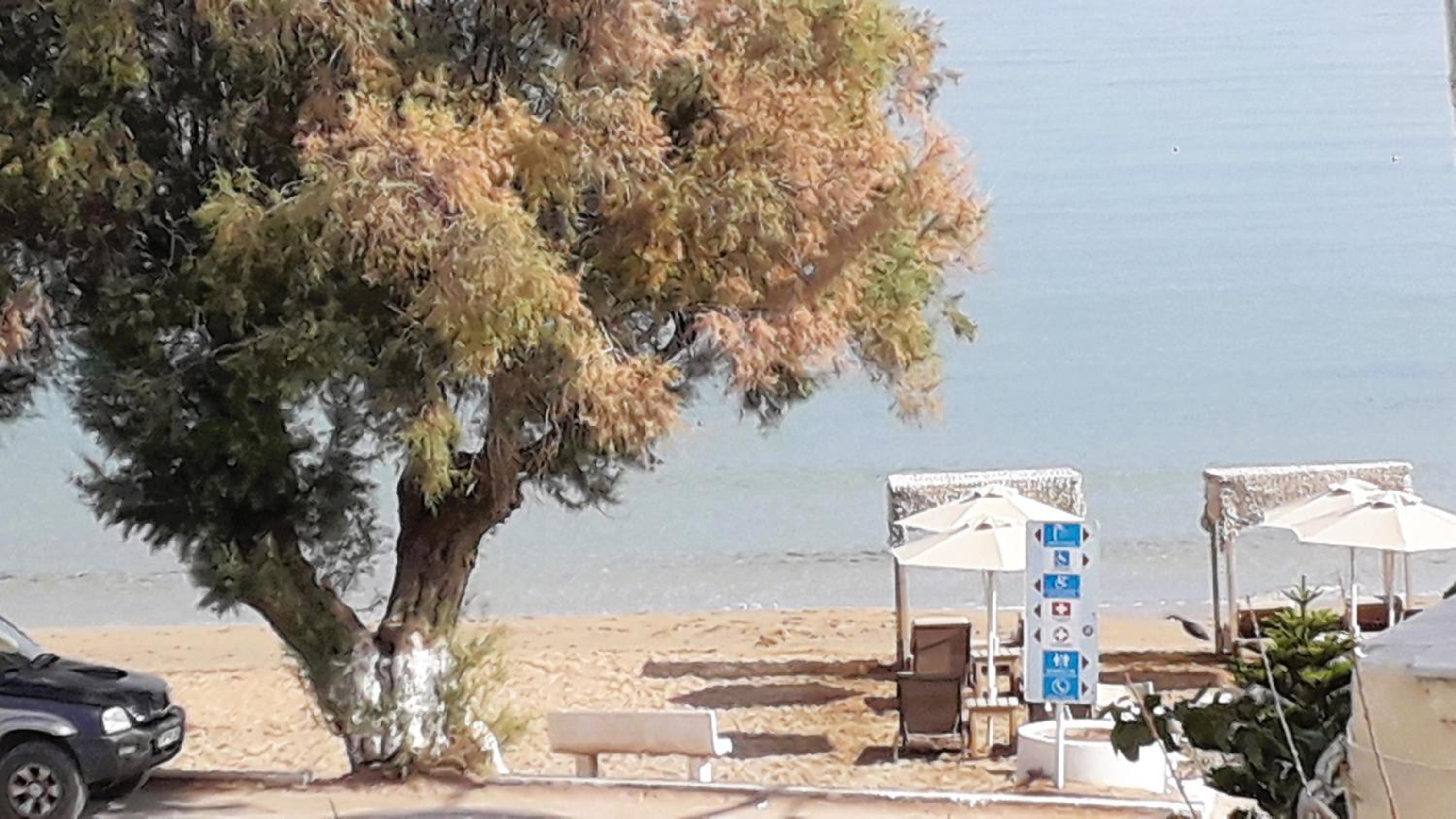 ARETOUSA Seafront House