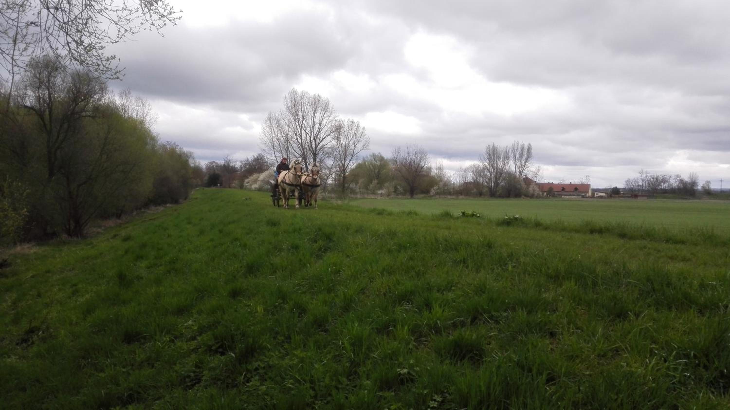 ZOOPARK Zelčín