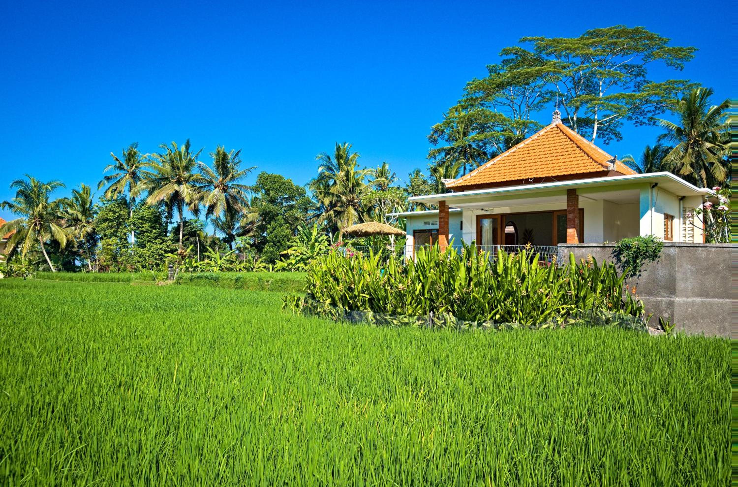Romantic Villa in Ubud Private Pooll and Rice Fields View