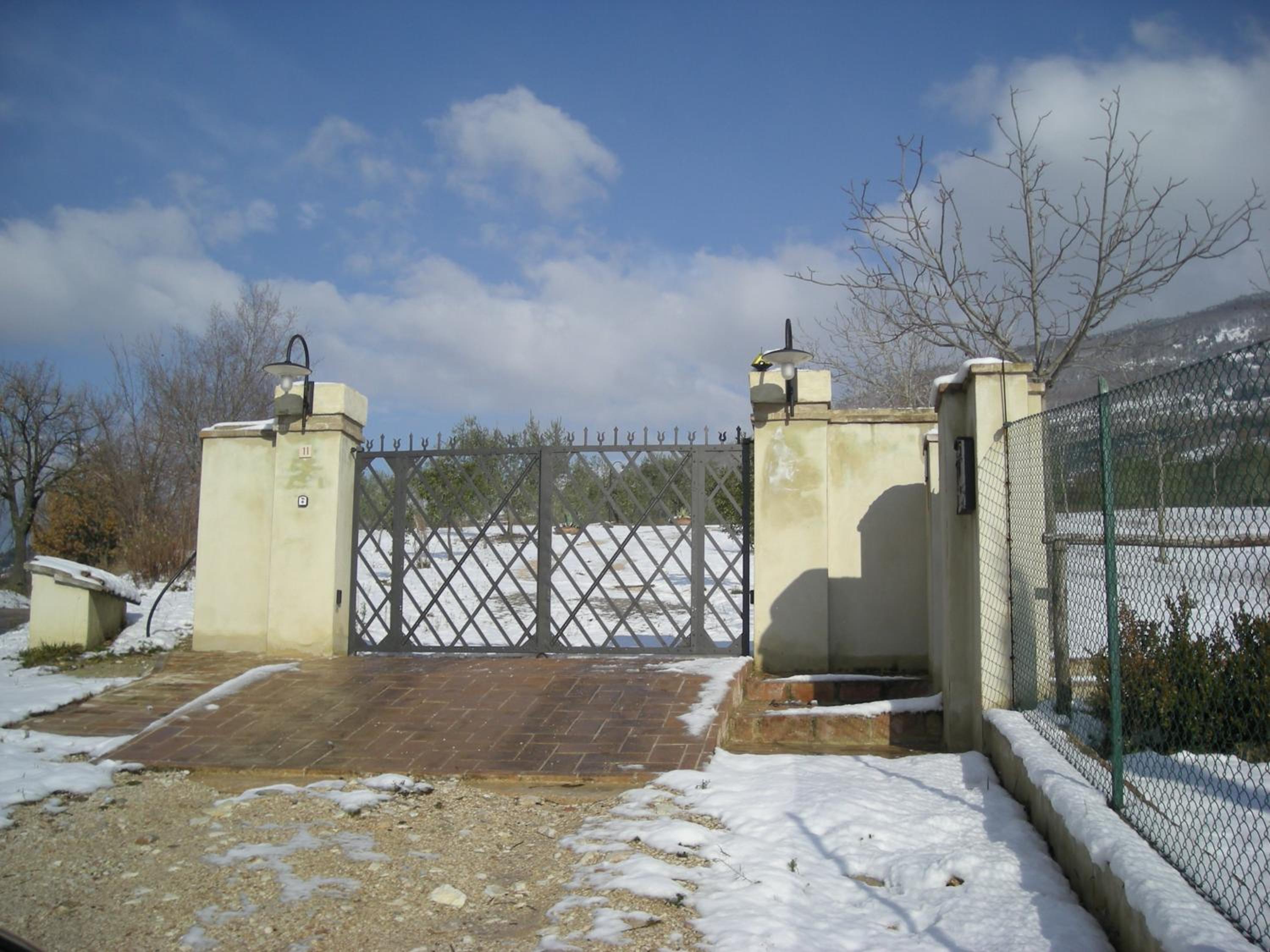 Photo 29