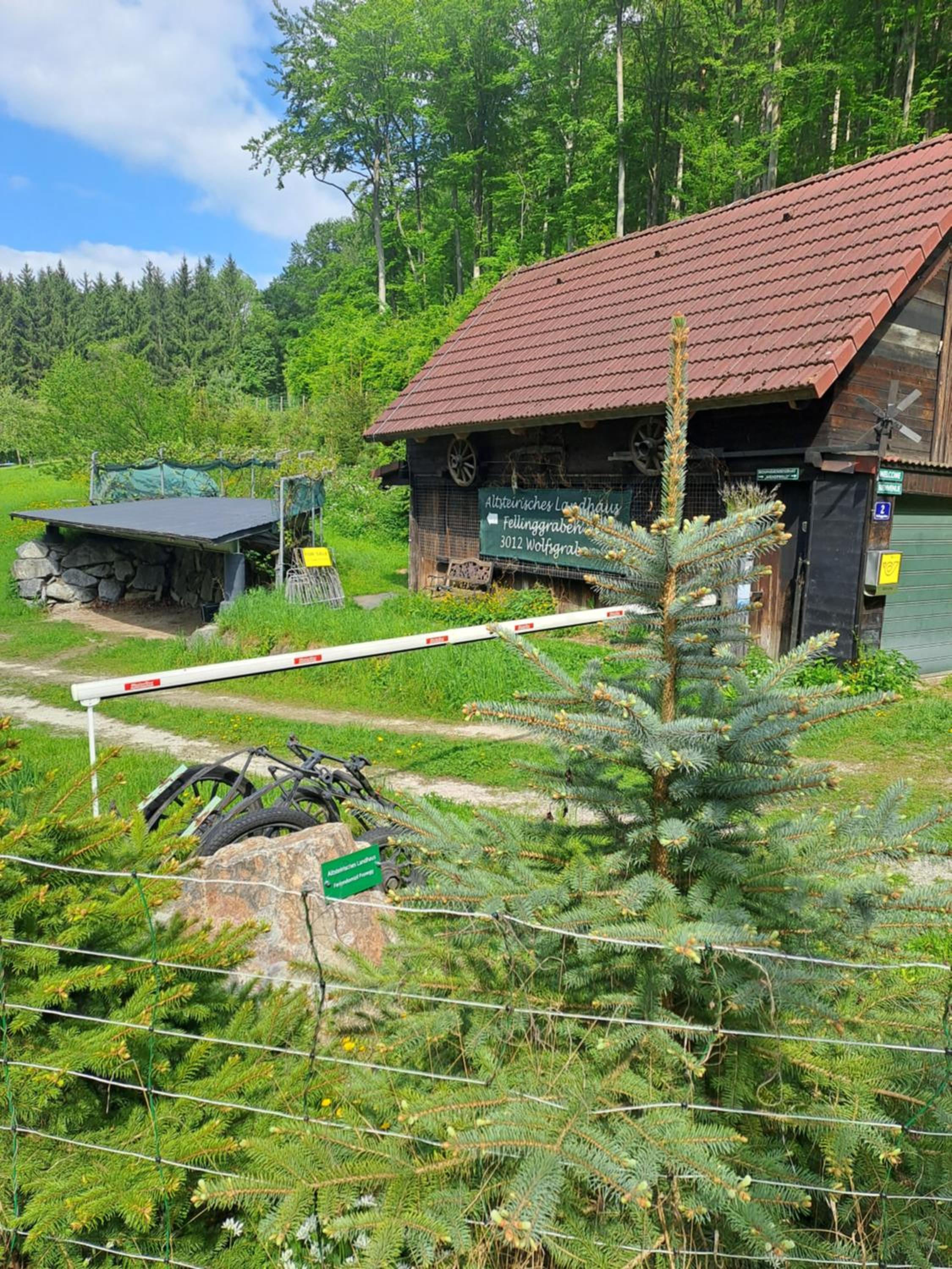 Photo 5