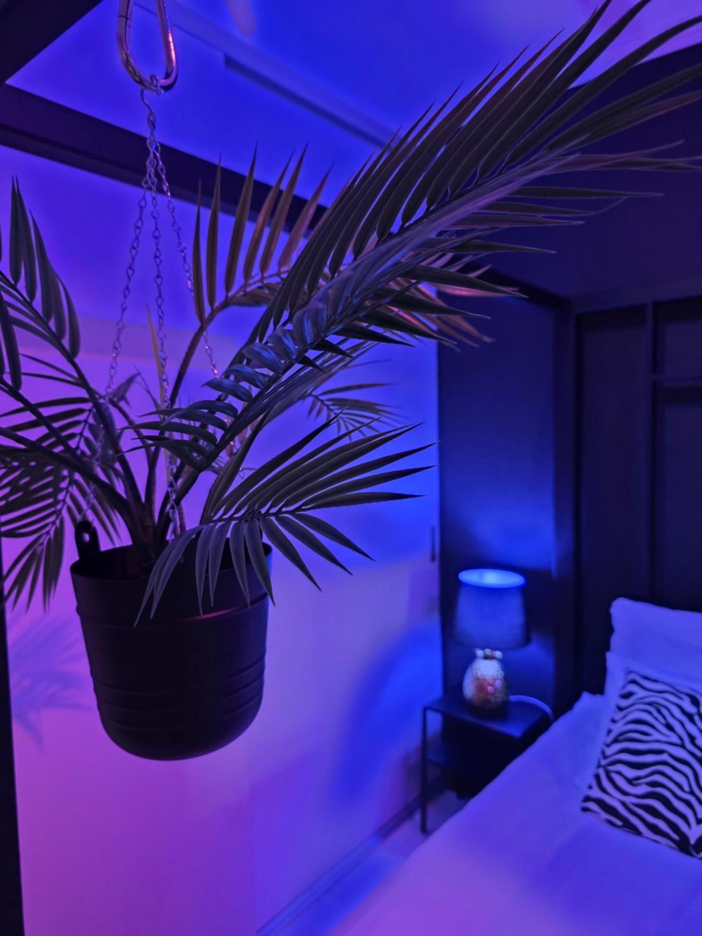 XoXo Apartments Tampere