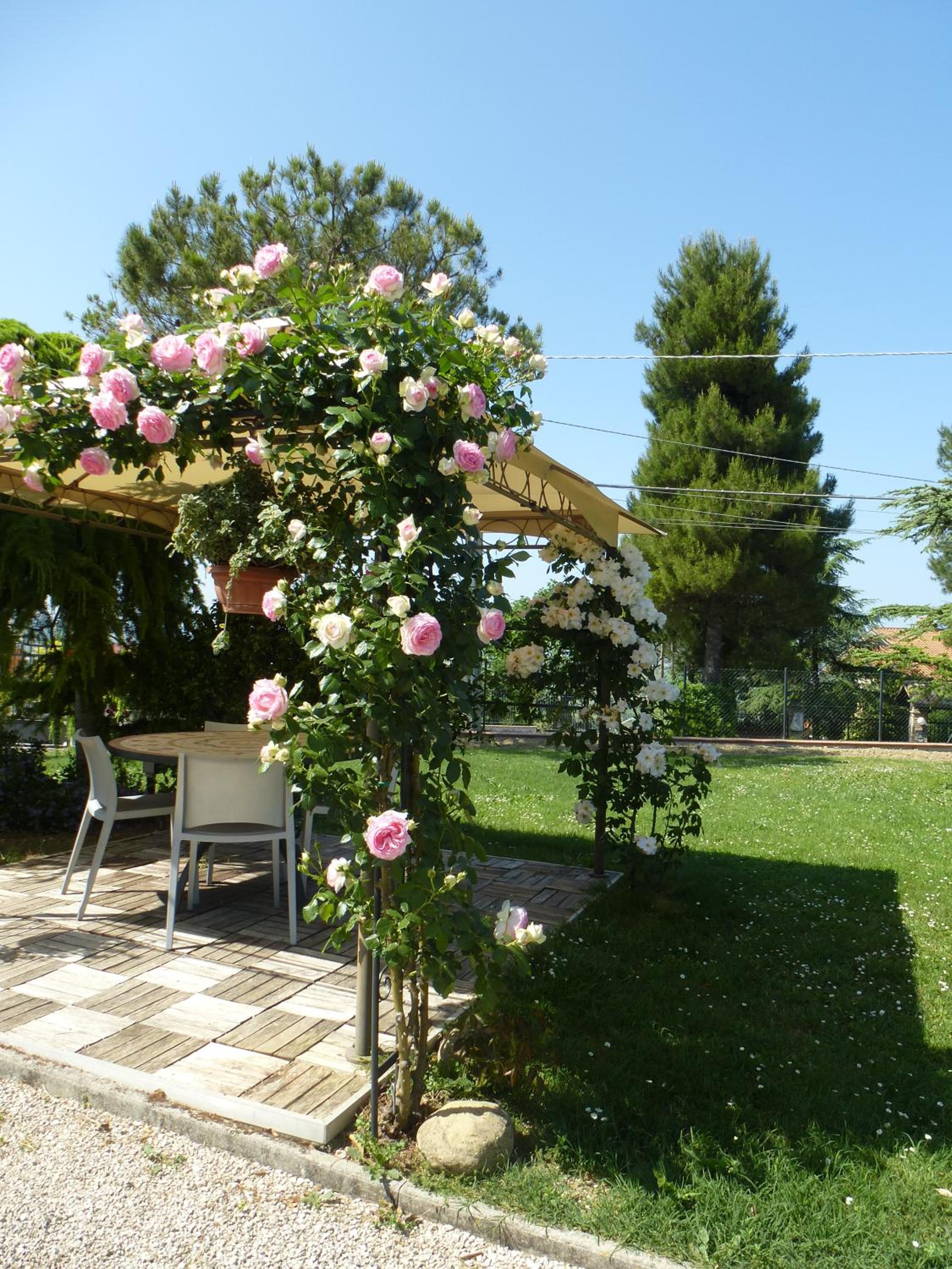 Photo 41