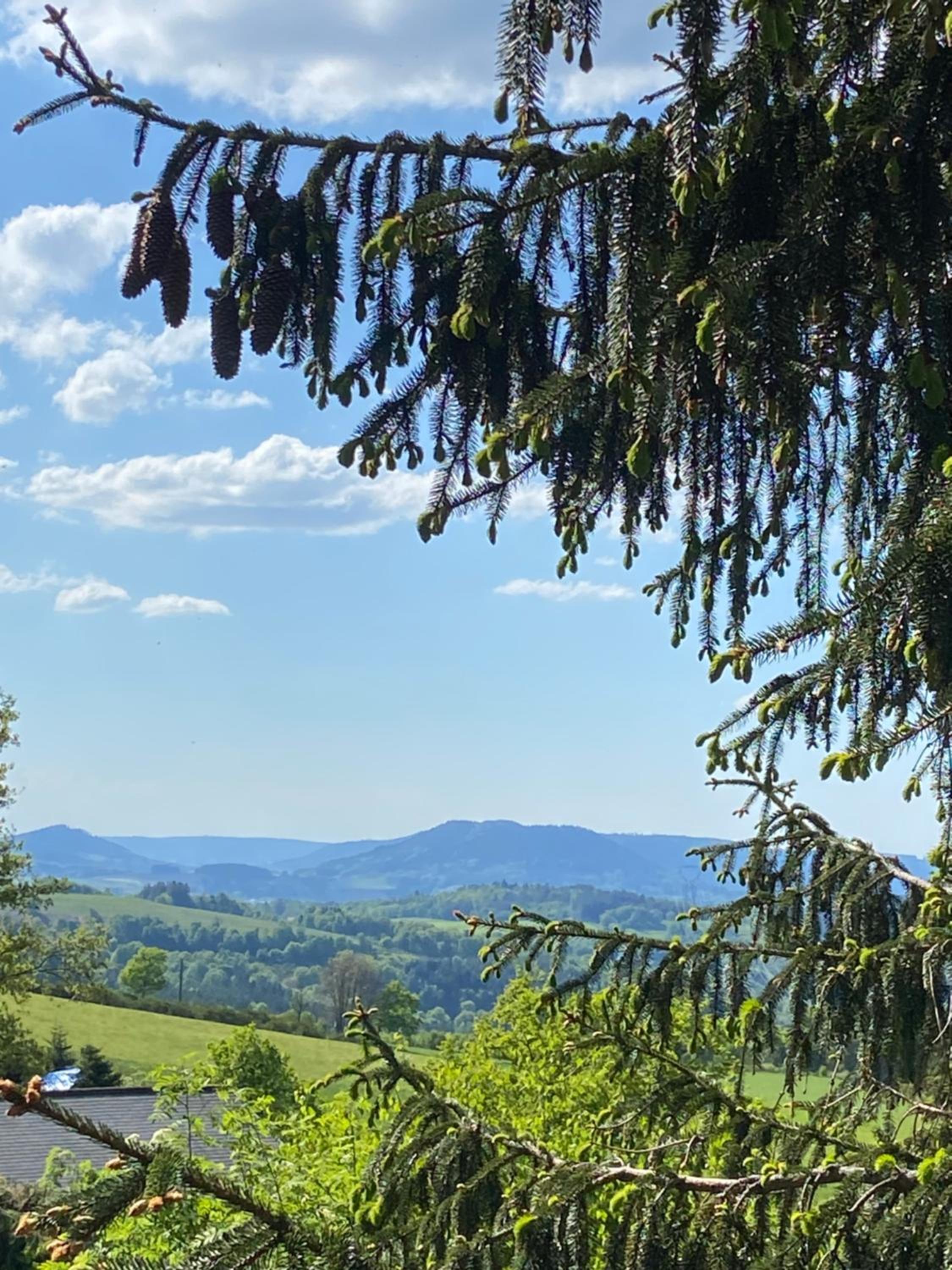 Chalet bois au calme, en lisière de forêt, balcons, sentiers balades Gérardmer & Alsace 