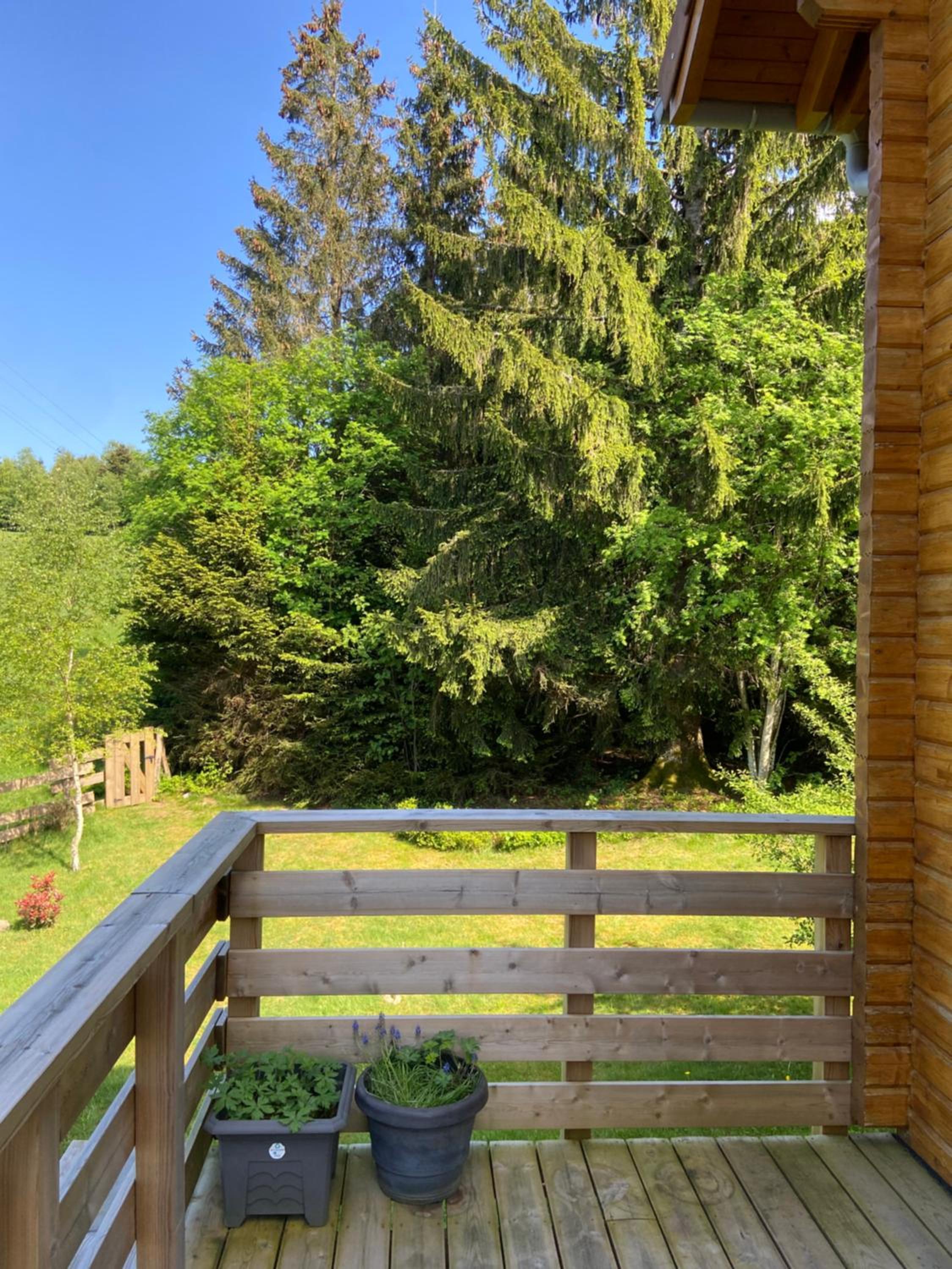 Chalet bois au calme, en lisière de forêt, balcons, sentiers balades Gérardmer & Alsace 
