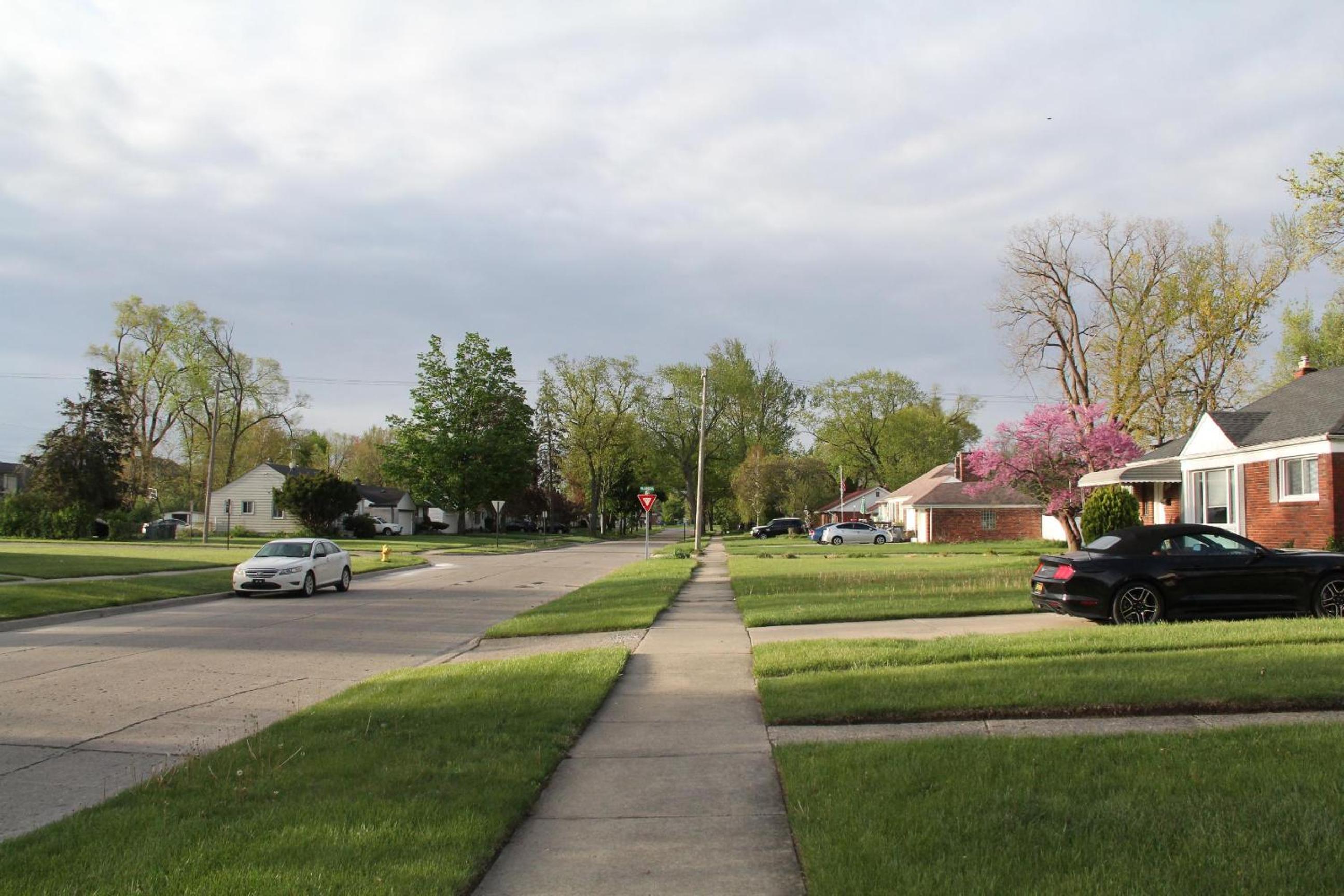 Beautiful, Cozy Stay in Oak Park, Queen Bedroom, Work Setup & Backyard Grill