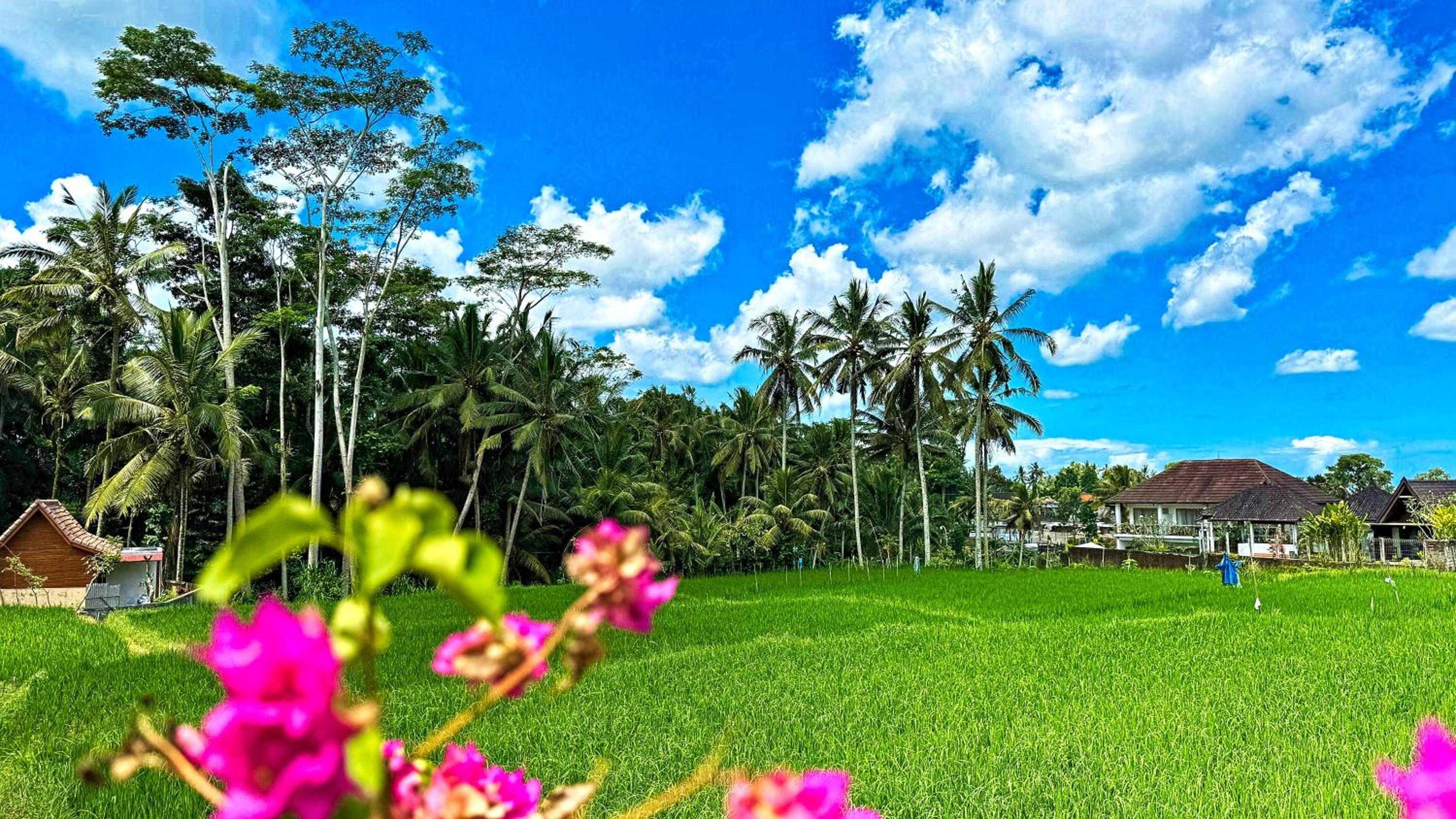 Romantic Villa in Ubud Private Pooll and Rice Fields View