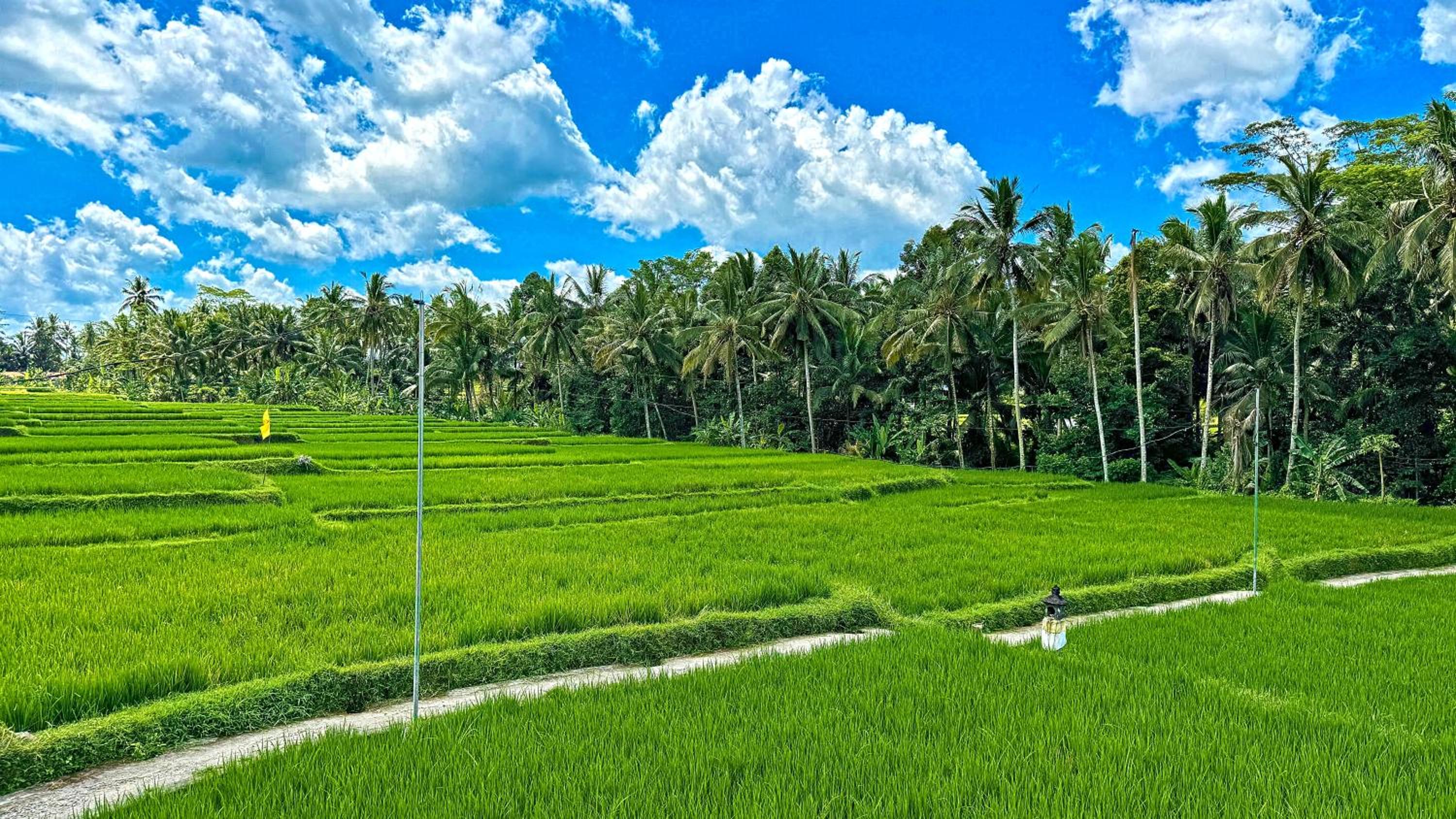 Romantic Villa in Ubud Private Pooll and Rice Fields View