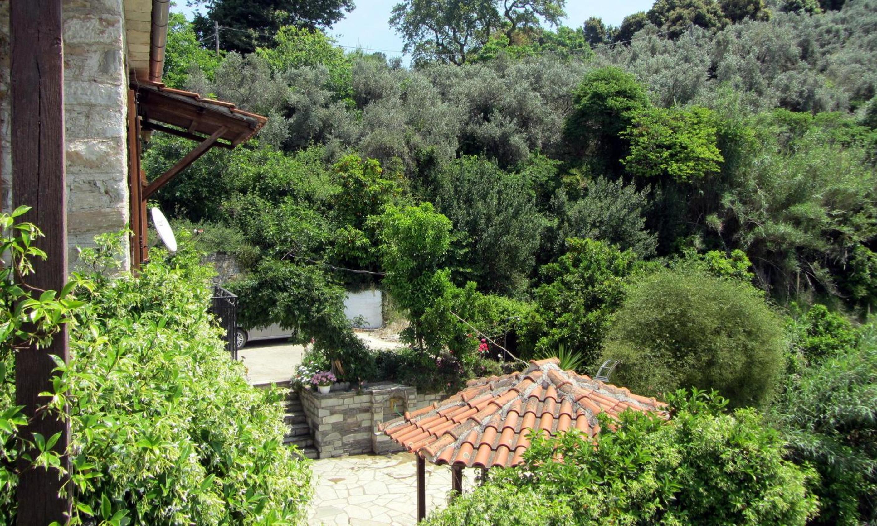 Photo 16