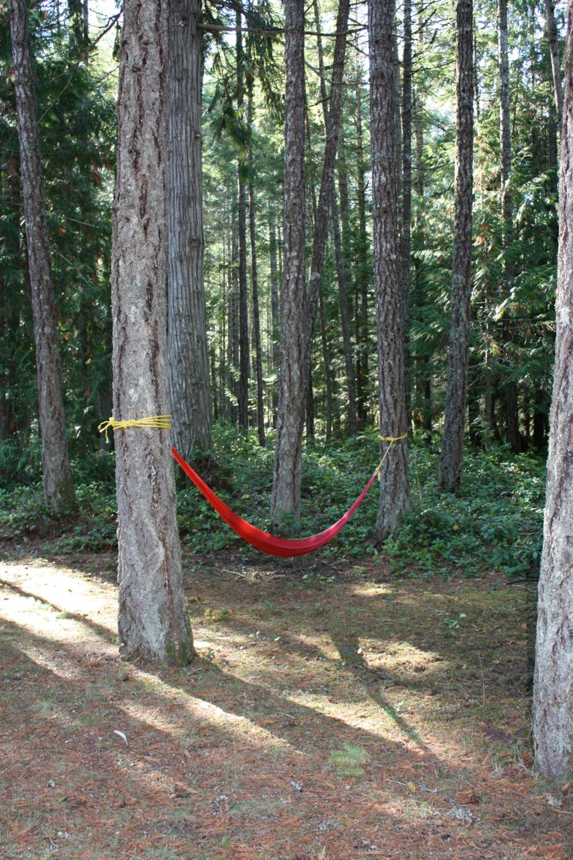 Parksville Vacations - Cedar Song BB - Property Image 3