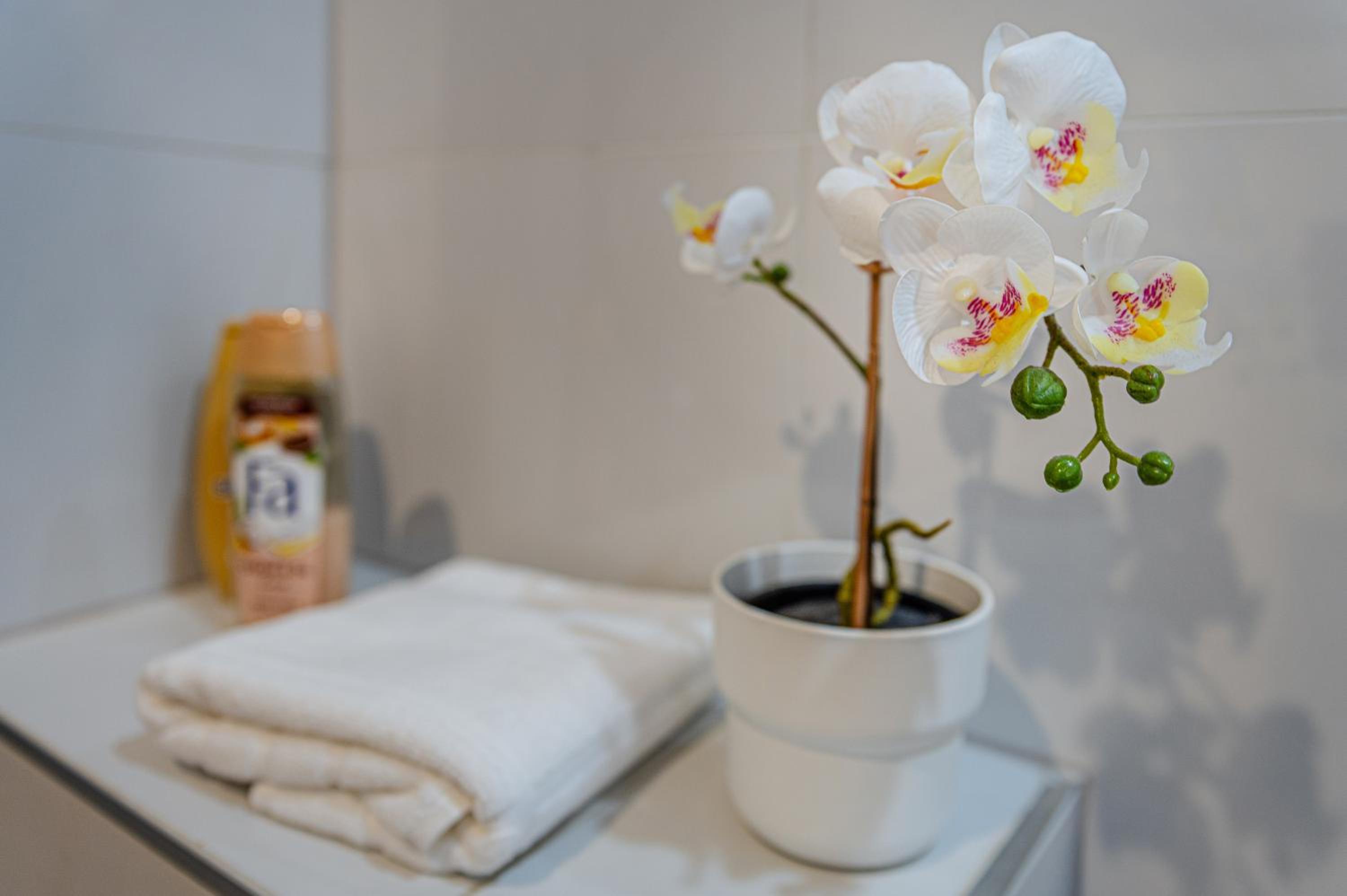 Boutique Studios Budapest downtown