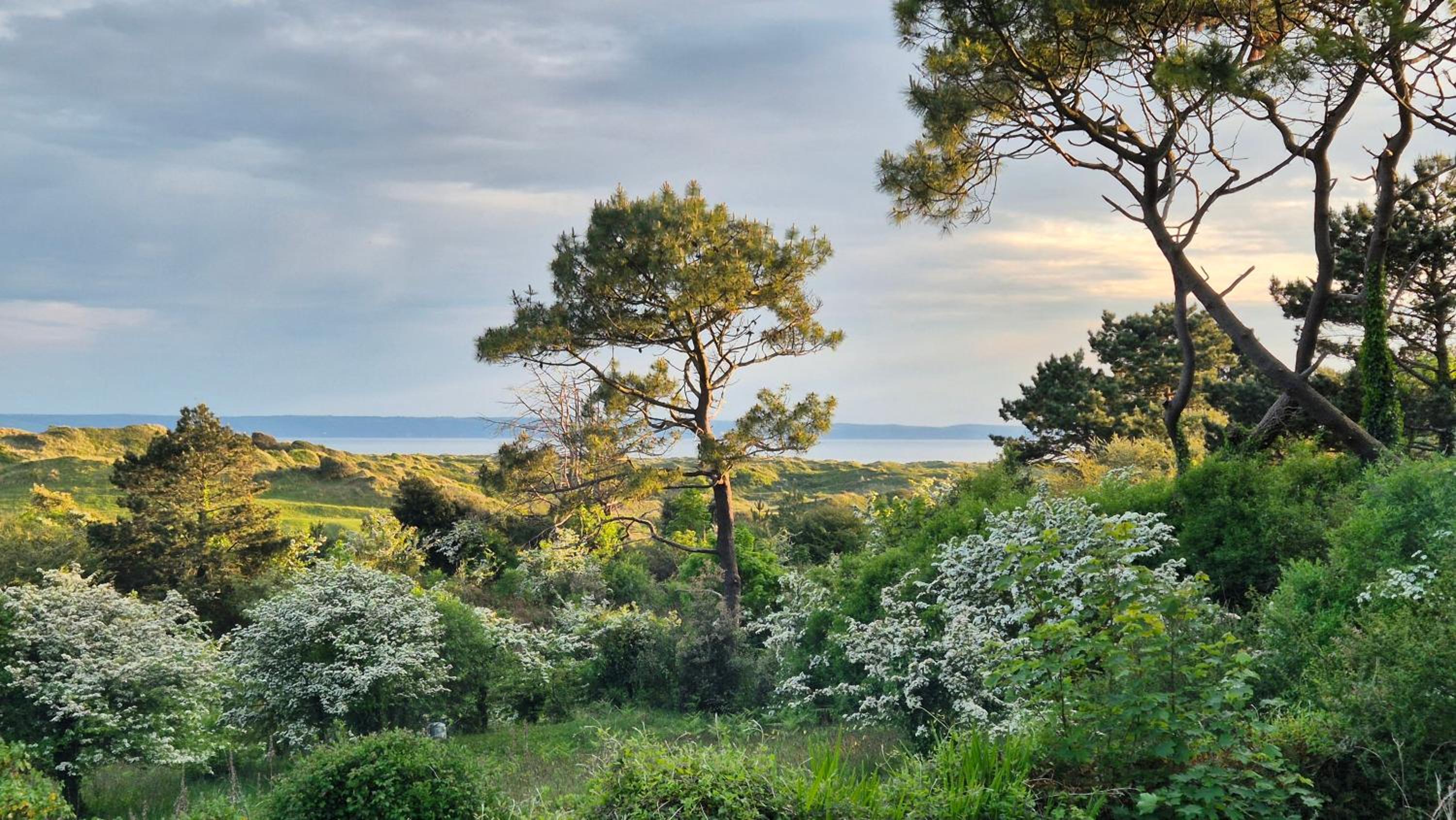 Surf - Holiday Home at Saunton