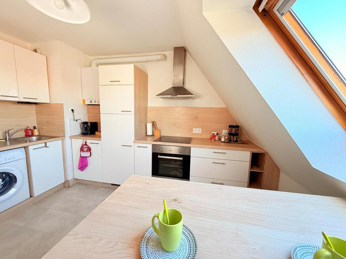 Le Duplex des Tulipes - Parking included - Haguenau