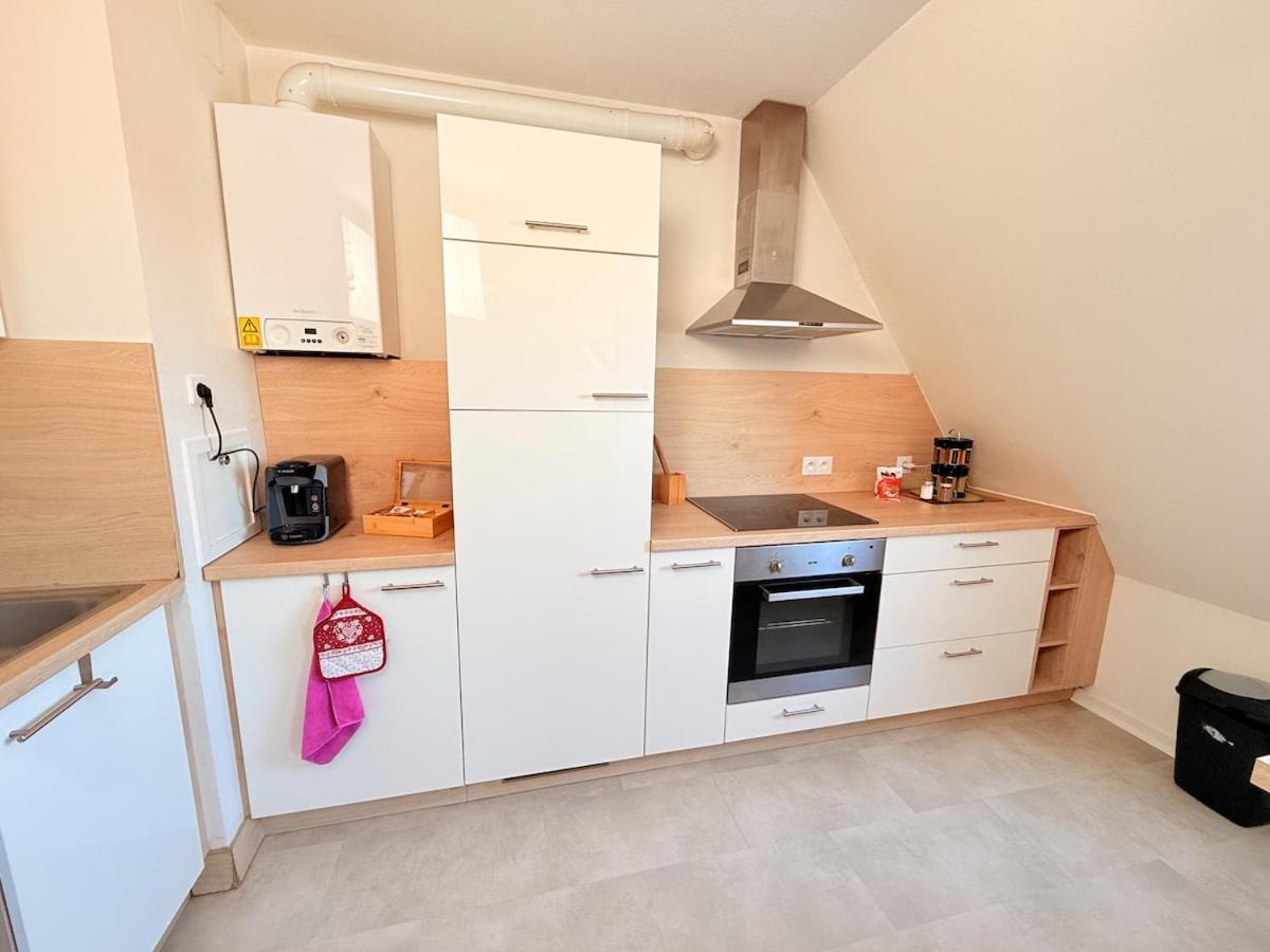 Le Duplex des Tulipes - Parking included - Haguenau