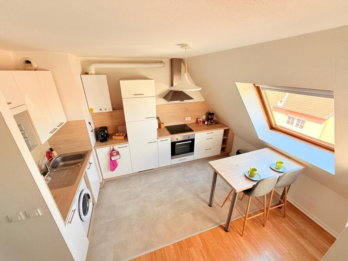 Le Duplex des Tulipes - Parking included - Haguenau