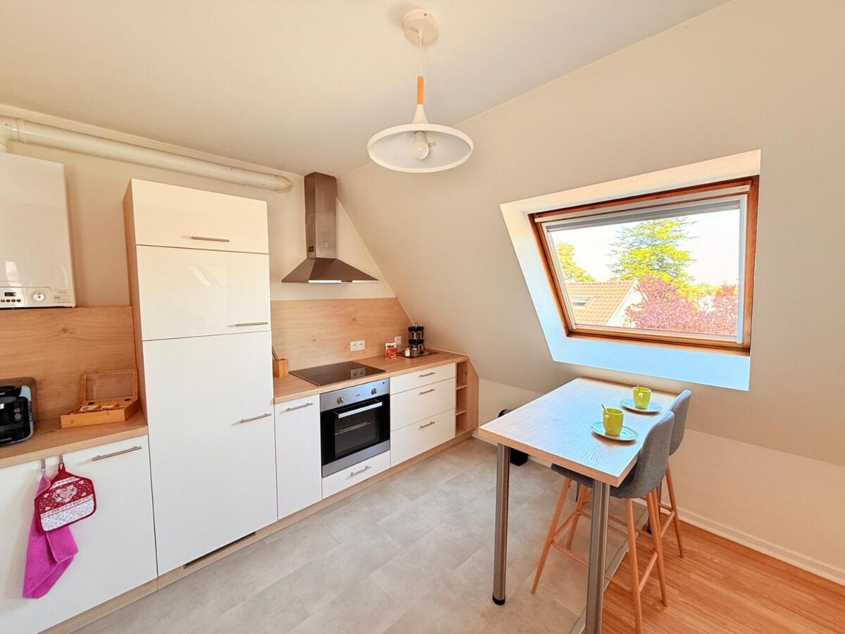 Le Duplex des Tulipes - Parking included - Haguenau