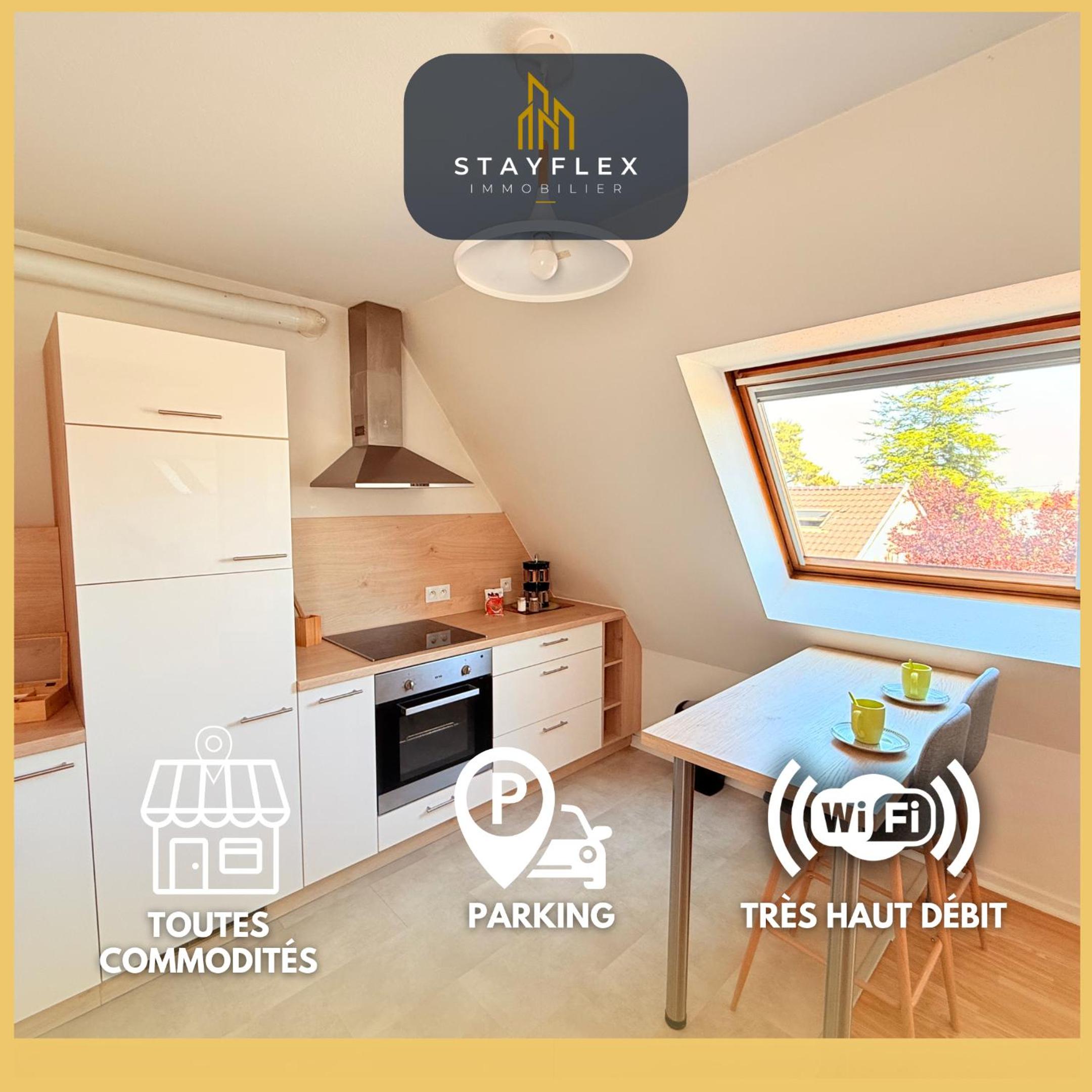 Le Duplex des Tulipes - Parking included - Haguenau