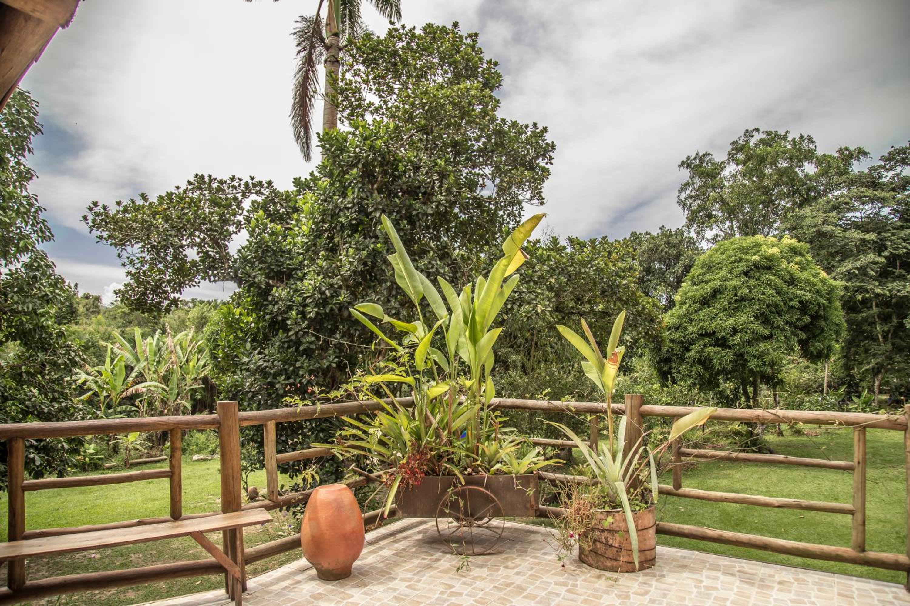 Paraty Paradiso