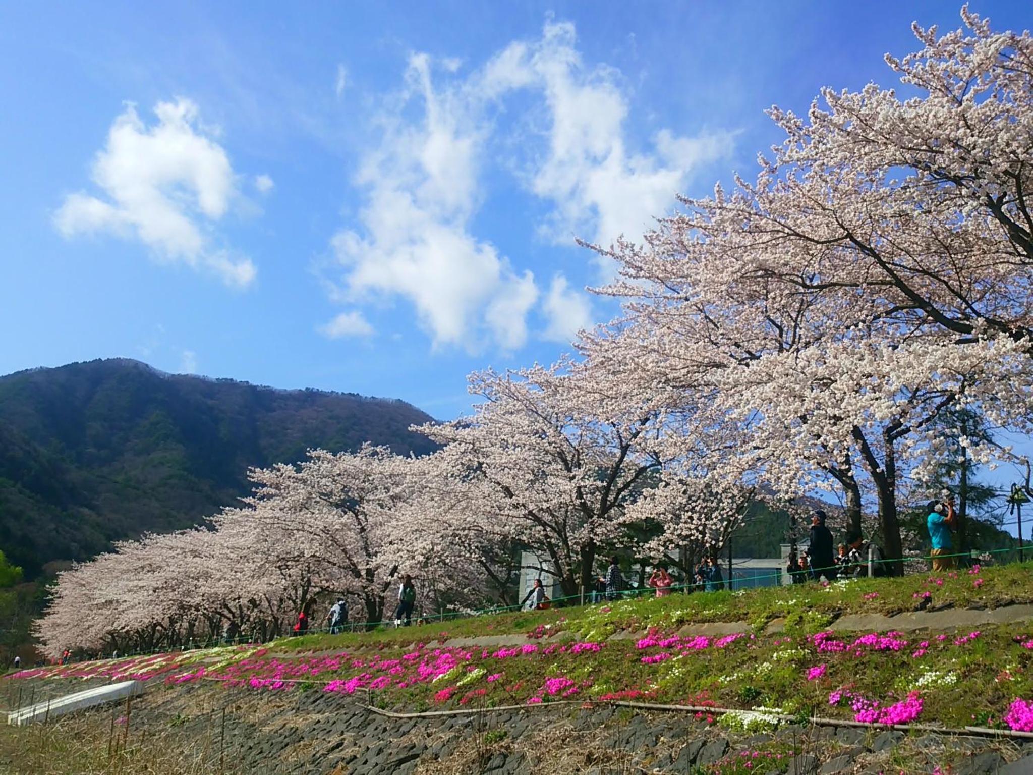 Lakeland Hotel Mizunosato
