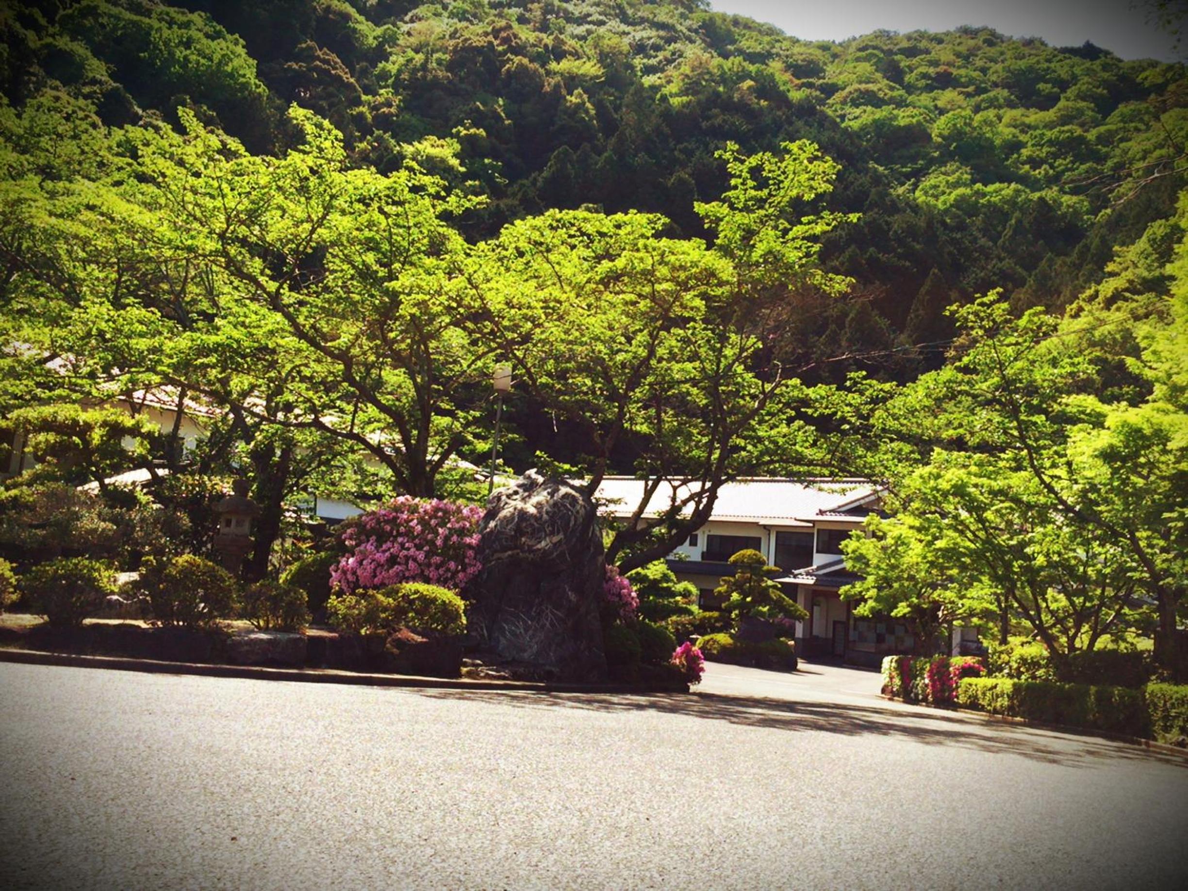 Okumizuma Onsen