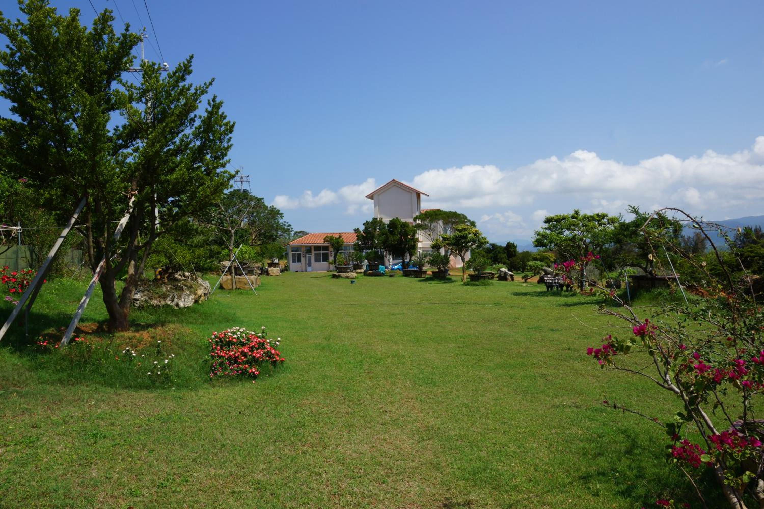 Photo 23