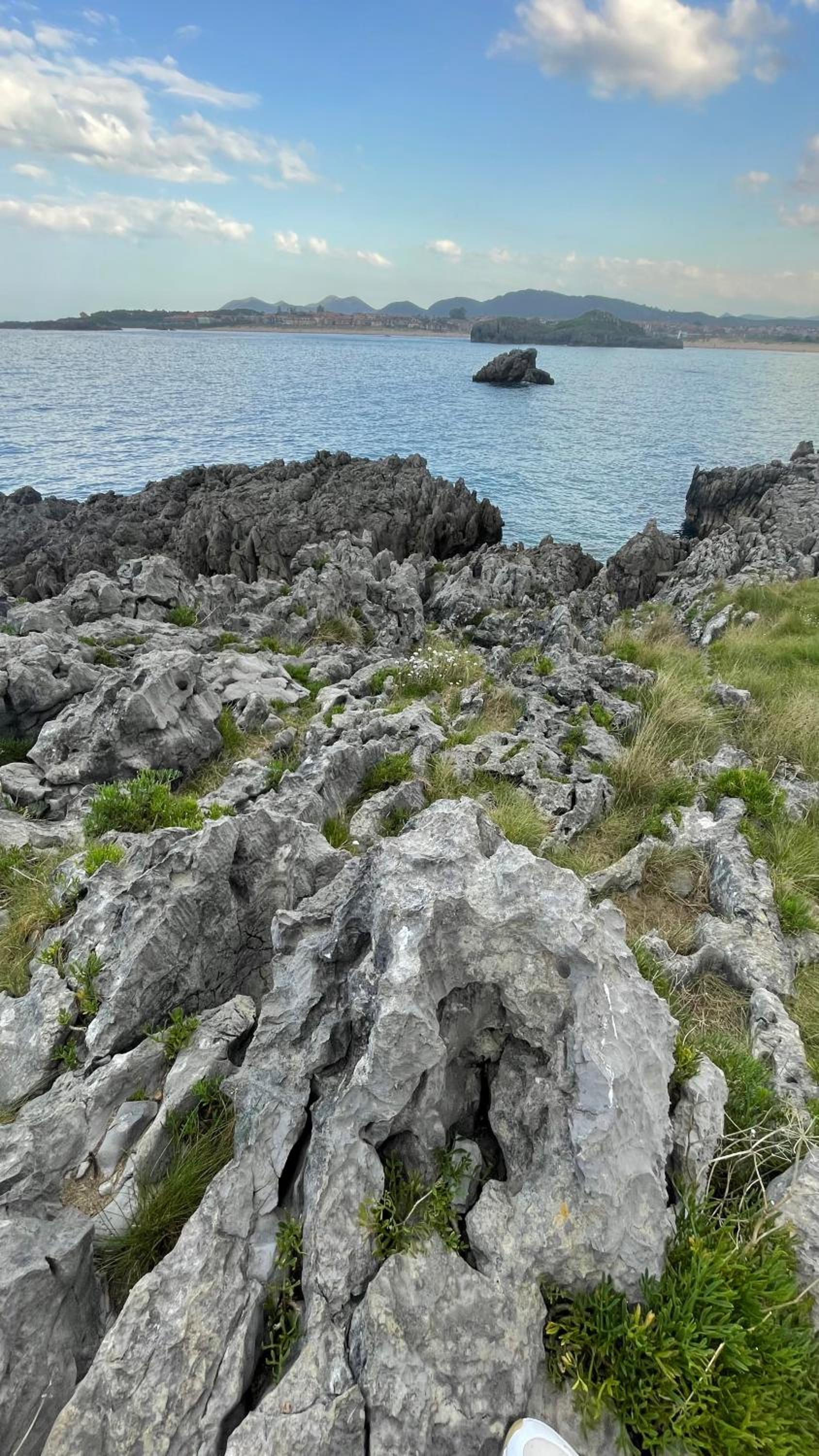 Marismas de Cantabria cerca de Laredo